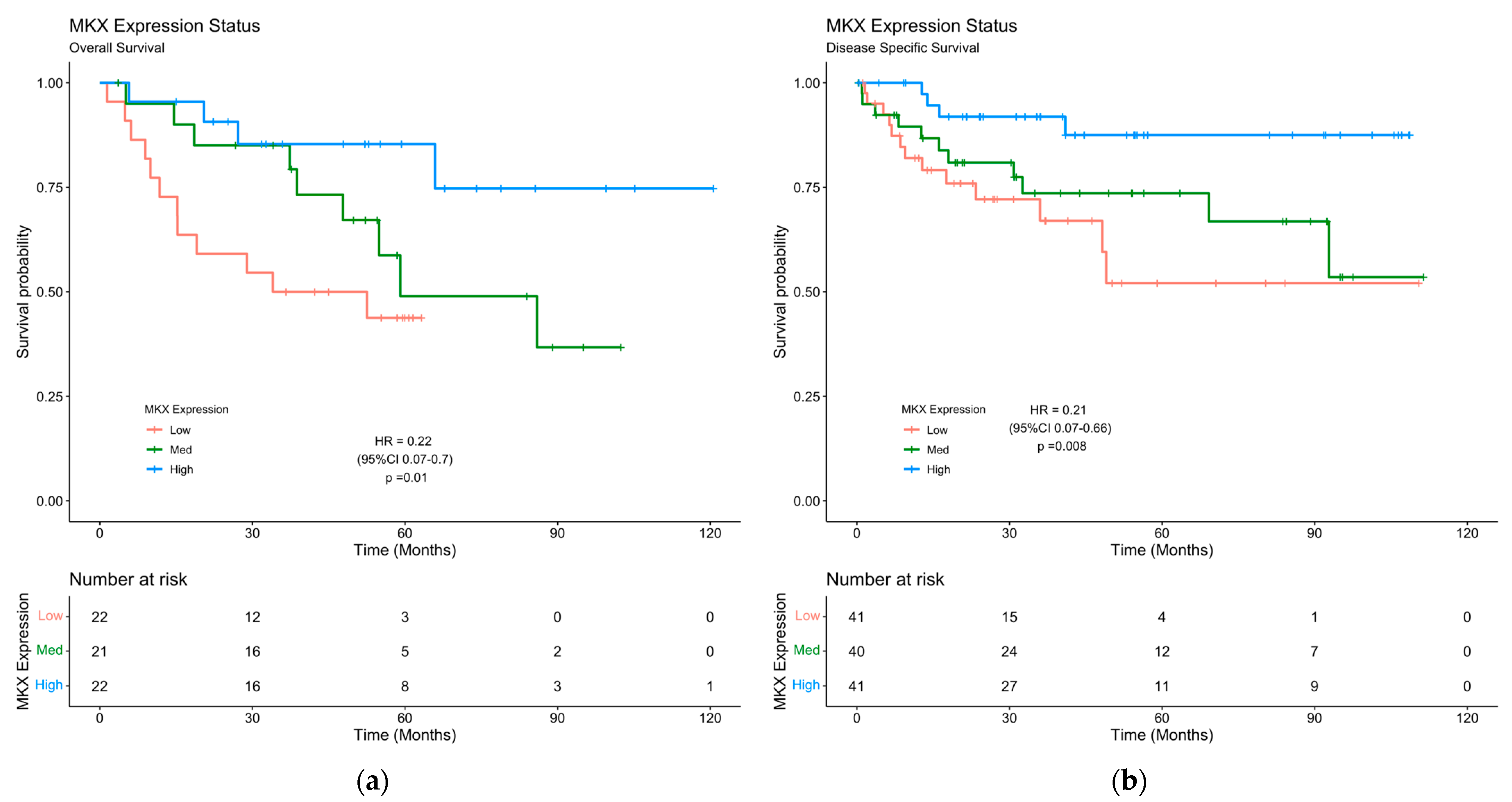 Pharmaceuticals 16 00757 g006 Pharmaceuticals 16 00757 g006