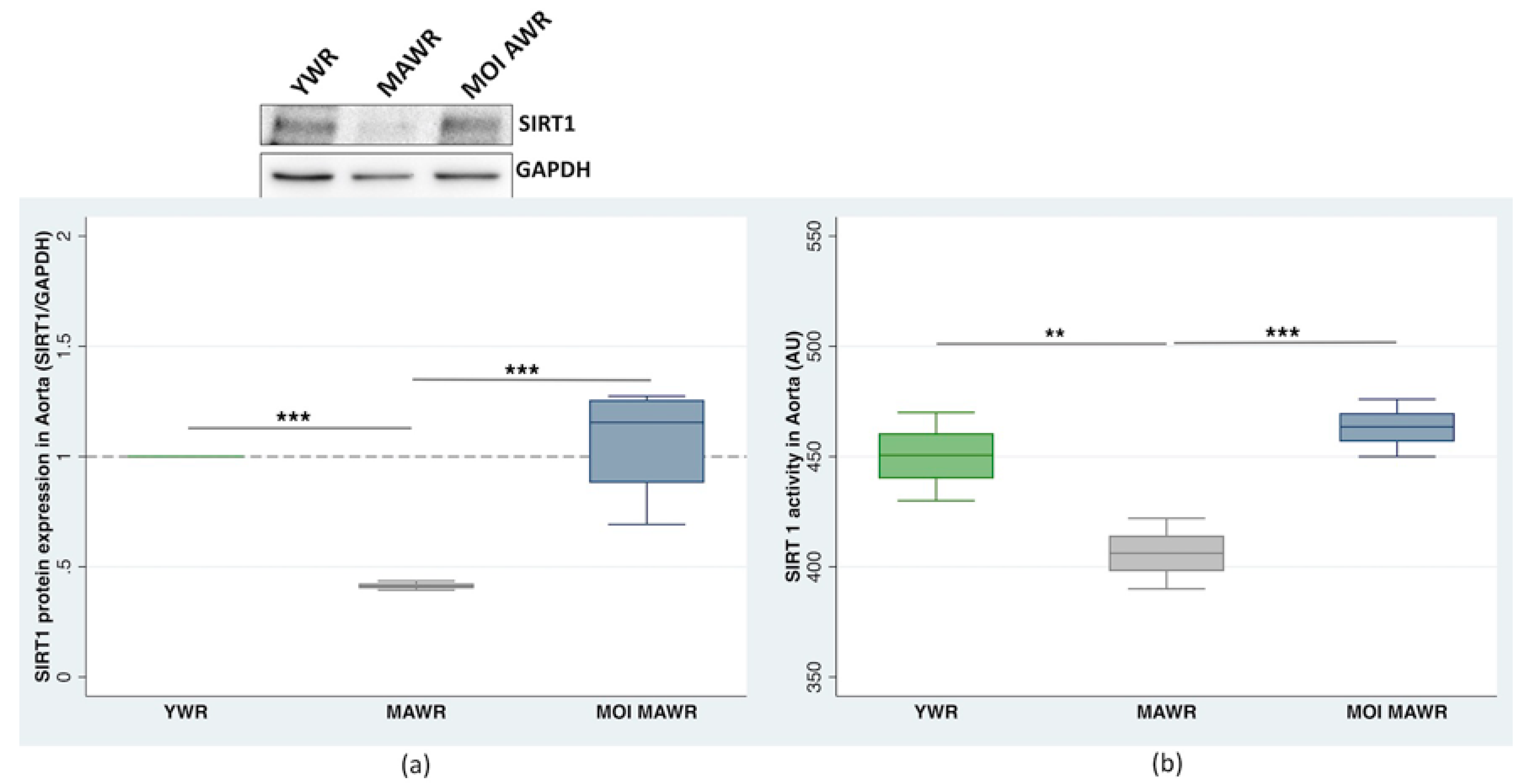 Pharmaceuticals 16 00761 g002 Pharmaceuticals 16 00761 g002