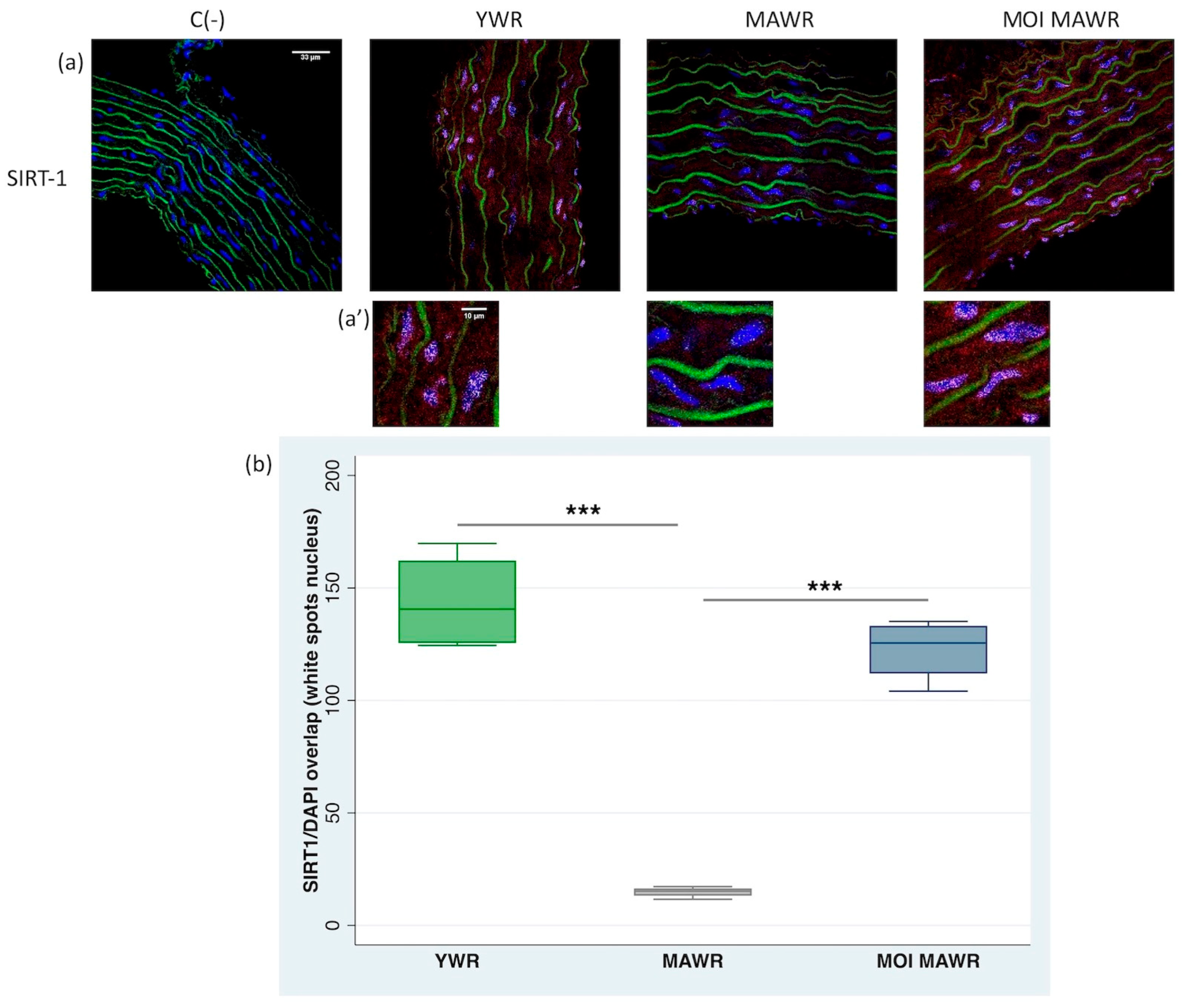Pharmaceuticals 16 00761 g003 Pharmaceuticals 16 00761 g003