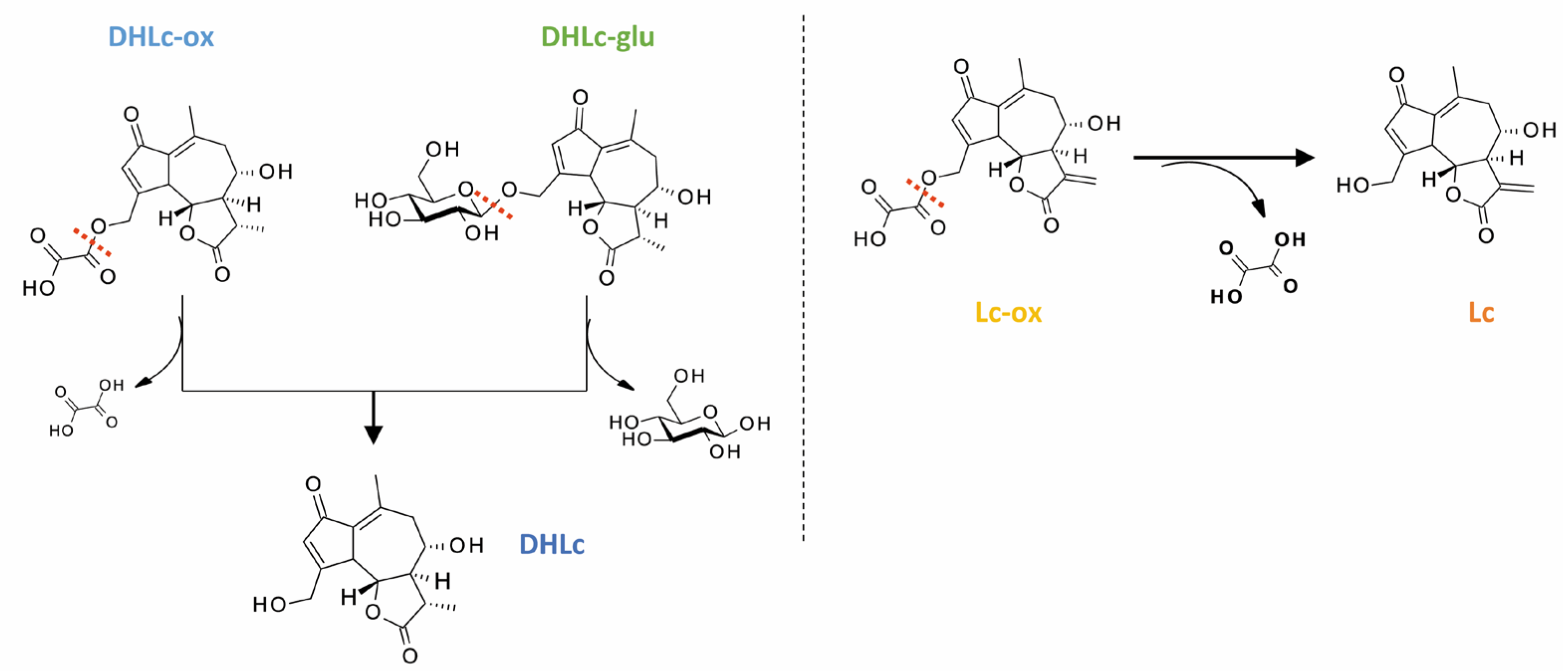 Pharmaceuticals 16 00771 g003 Pharmaceuticals 16 00771 g003