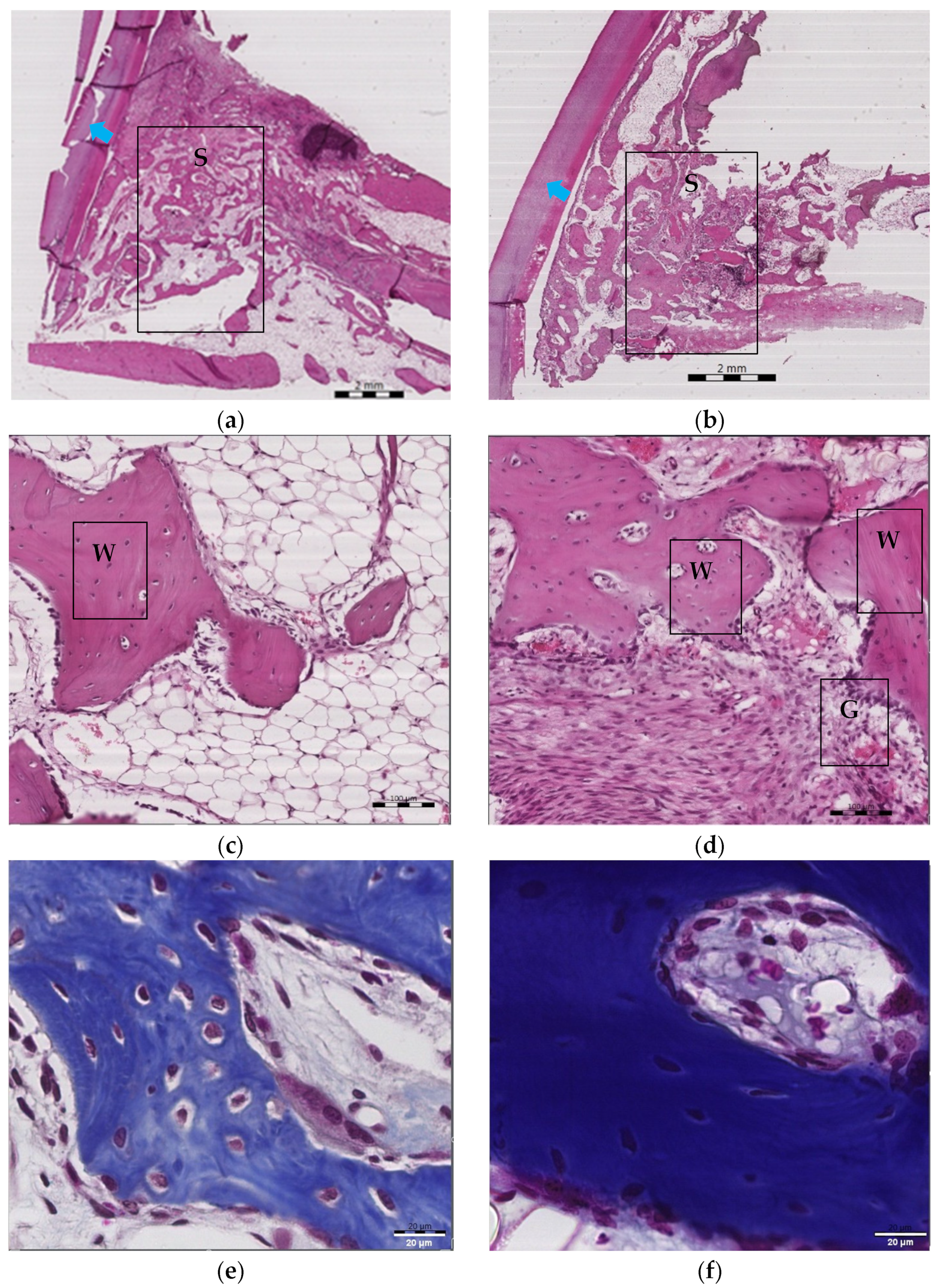 Pharmaceuticals 16 00774 g004 Pharmaceuticals 16 00774 g004