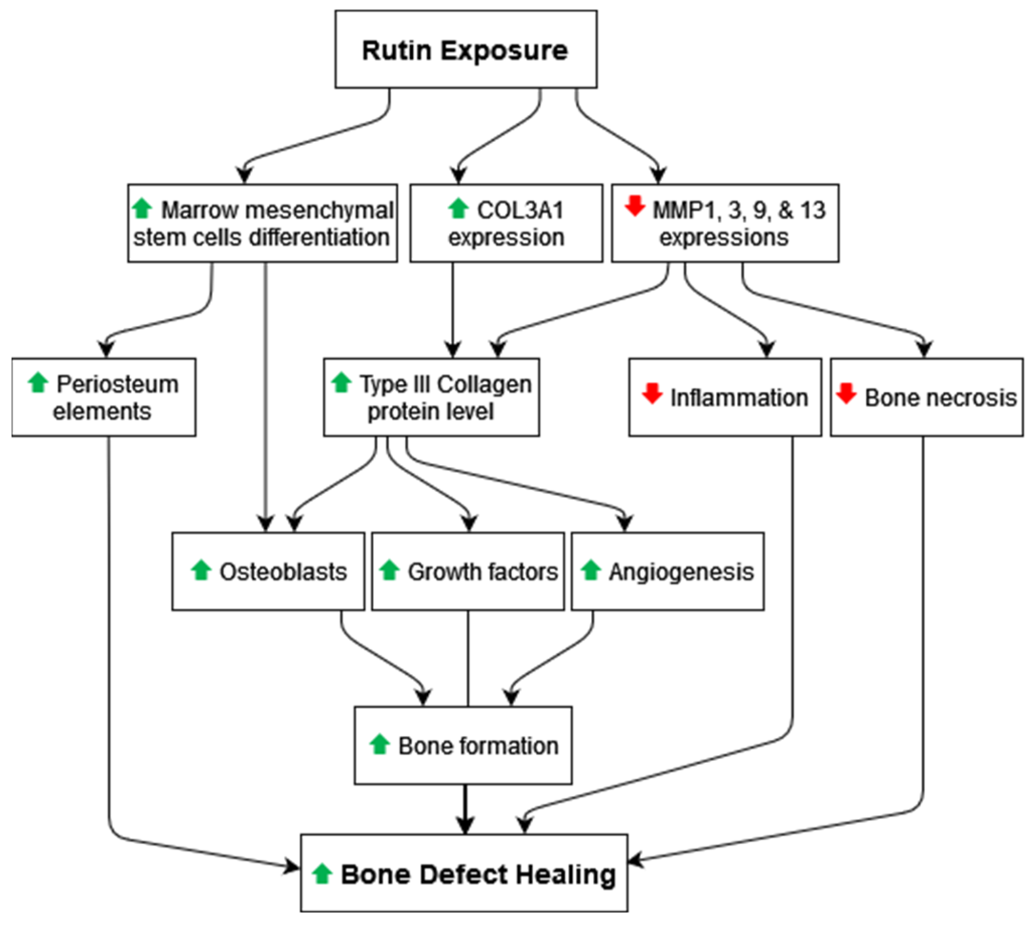 Pharmaceuticals 16 00774 g005 Pharmaceuticals 16 00774 g005