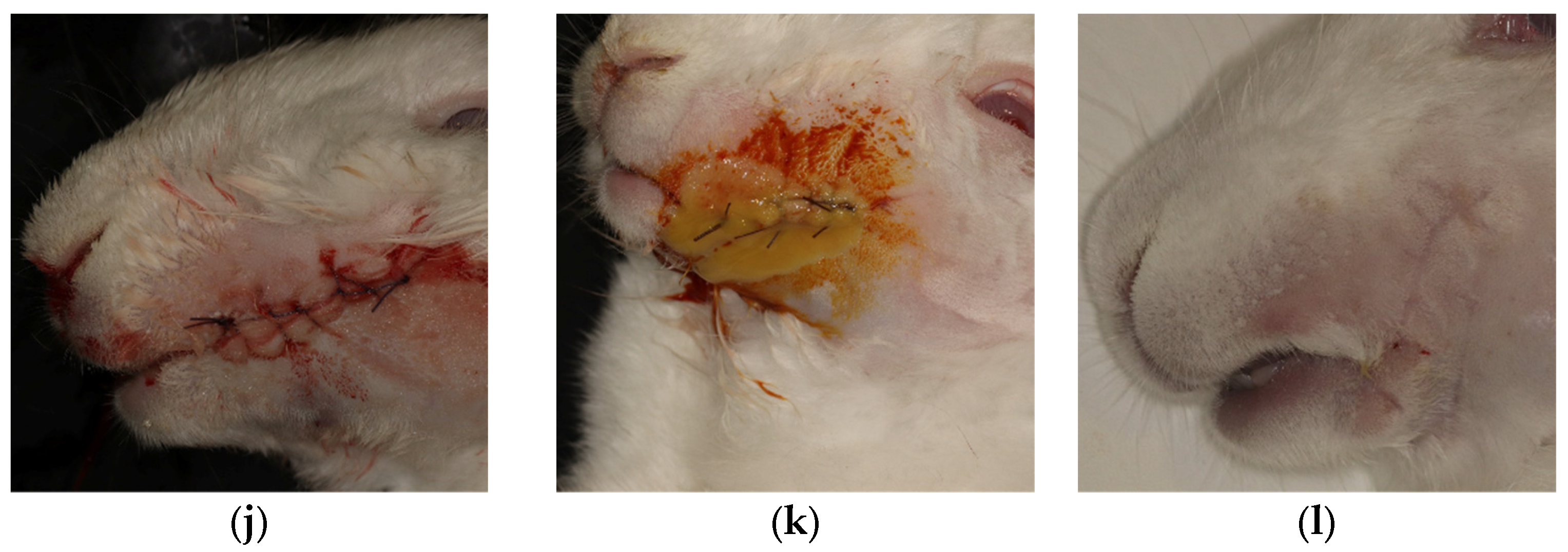 Pharmaceuticals 16 00774 g006b Pharmaceuticals 16 00774 g006b