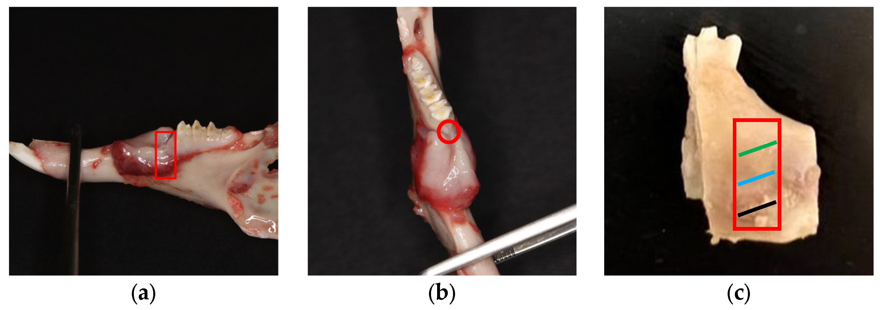 Pharmaceuticals 16 00774 g007 Pharmaceuticals 16 00774 g007