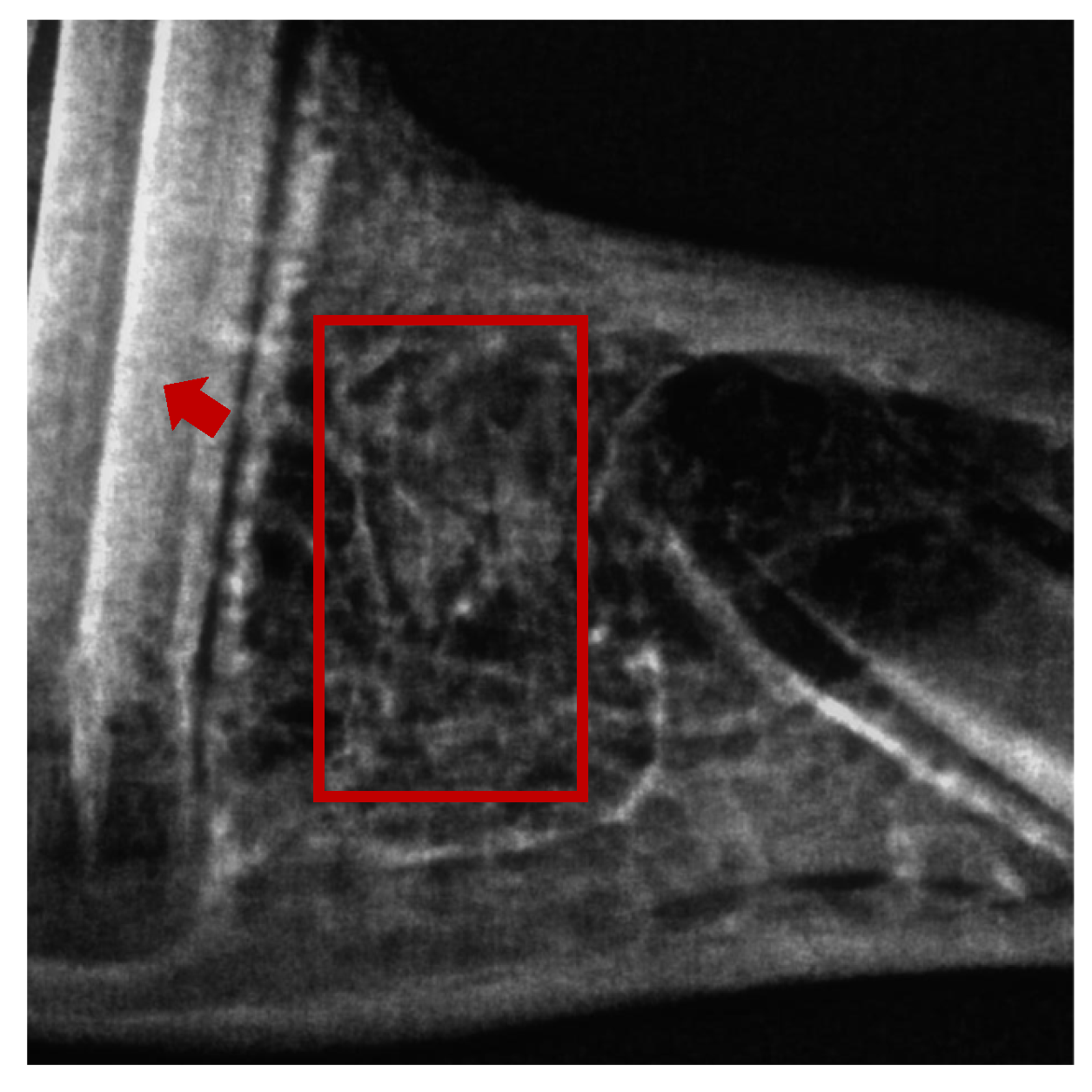 Pharmaceuticals 16 00774 g008 Pharmaceuticals 16 00774 g008