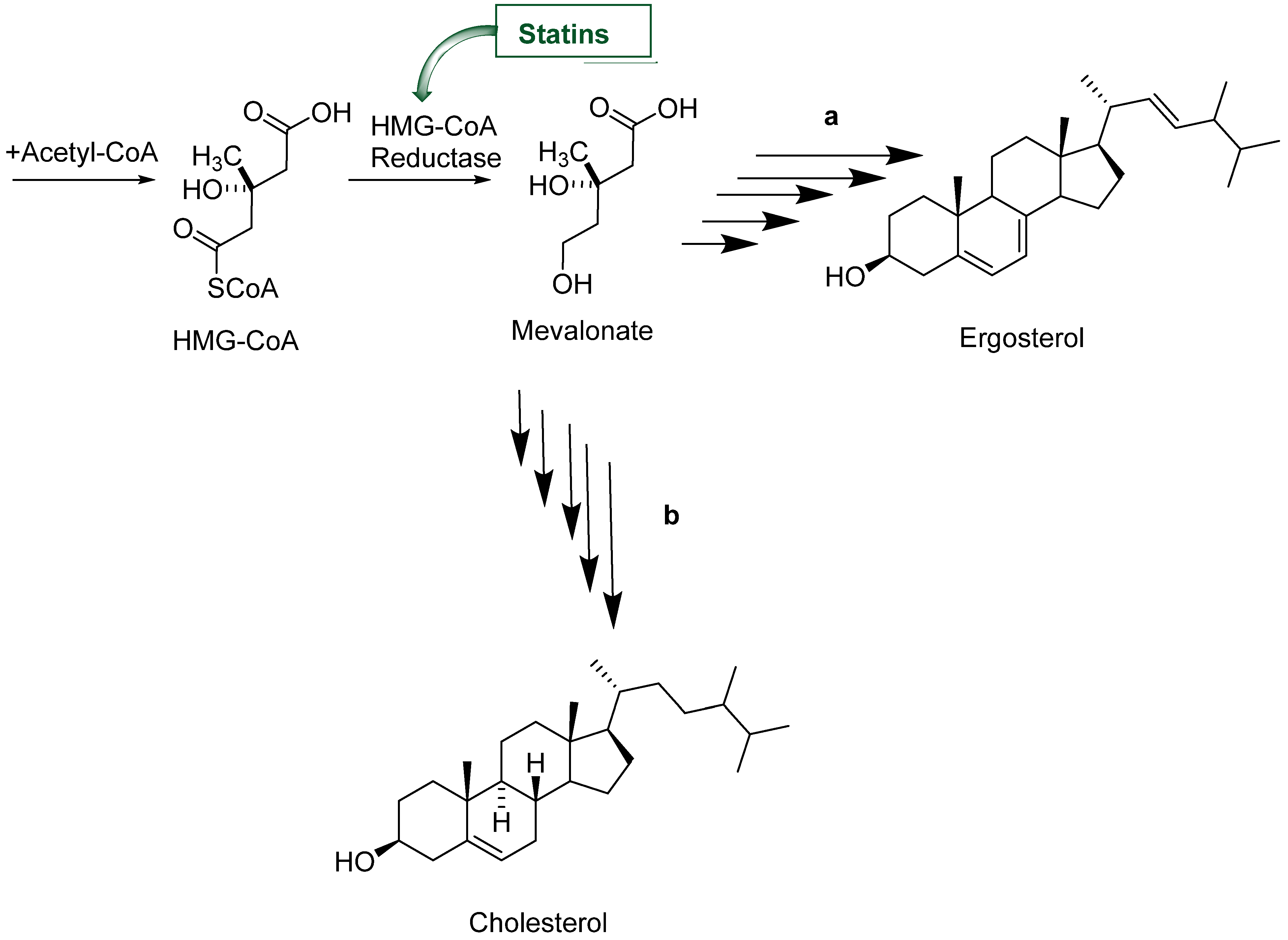 Pharmaceuticals | Free Full-Text | Antiplasmodial, Trypanocidal