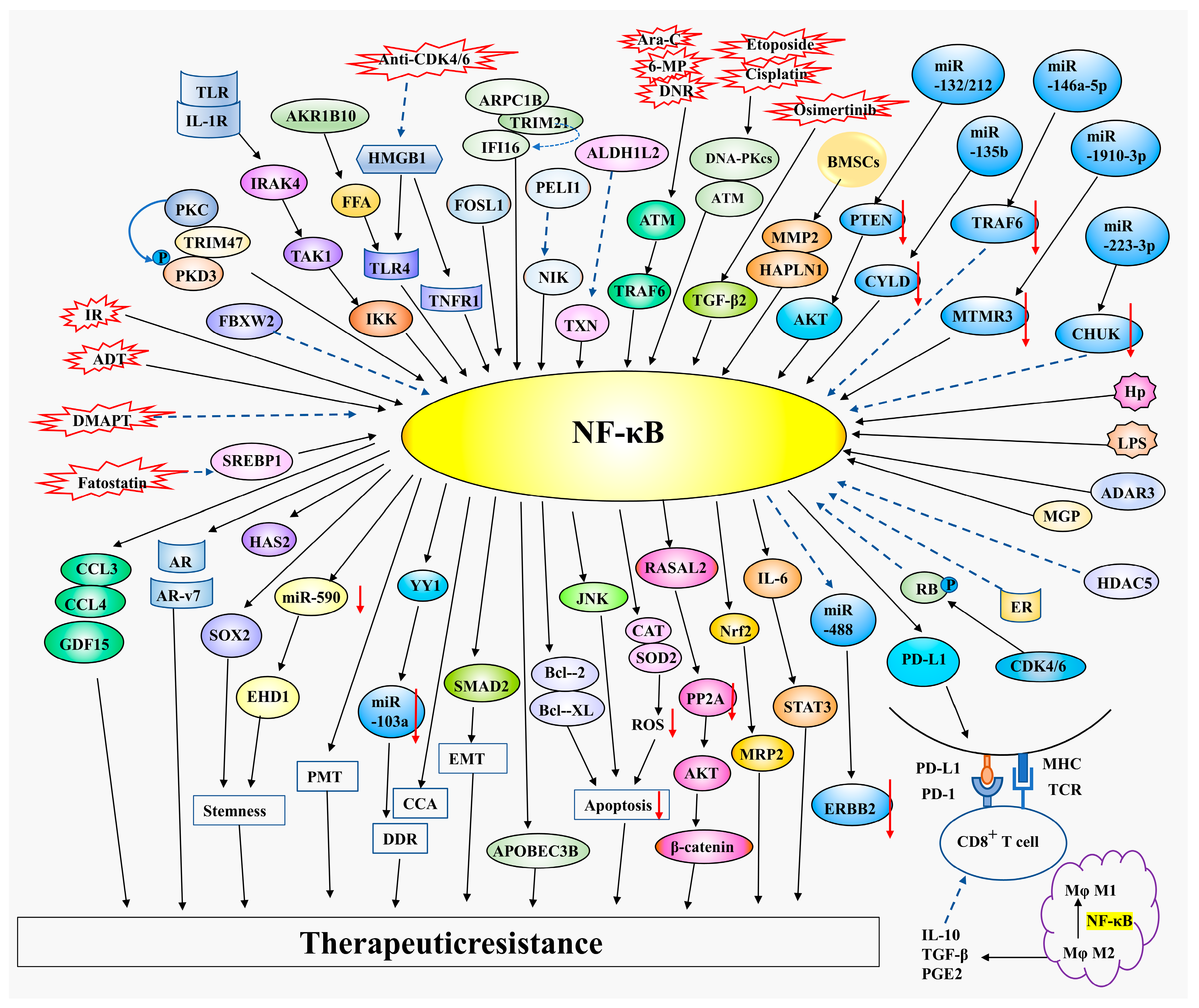 Pharmaceuticals 16 00783 g003 Pharmaceuticals 16 00783 g003