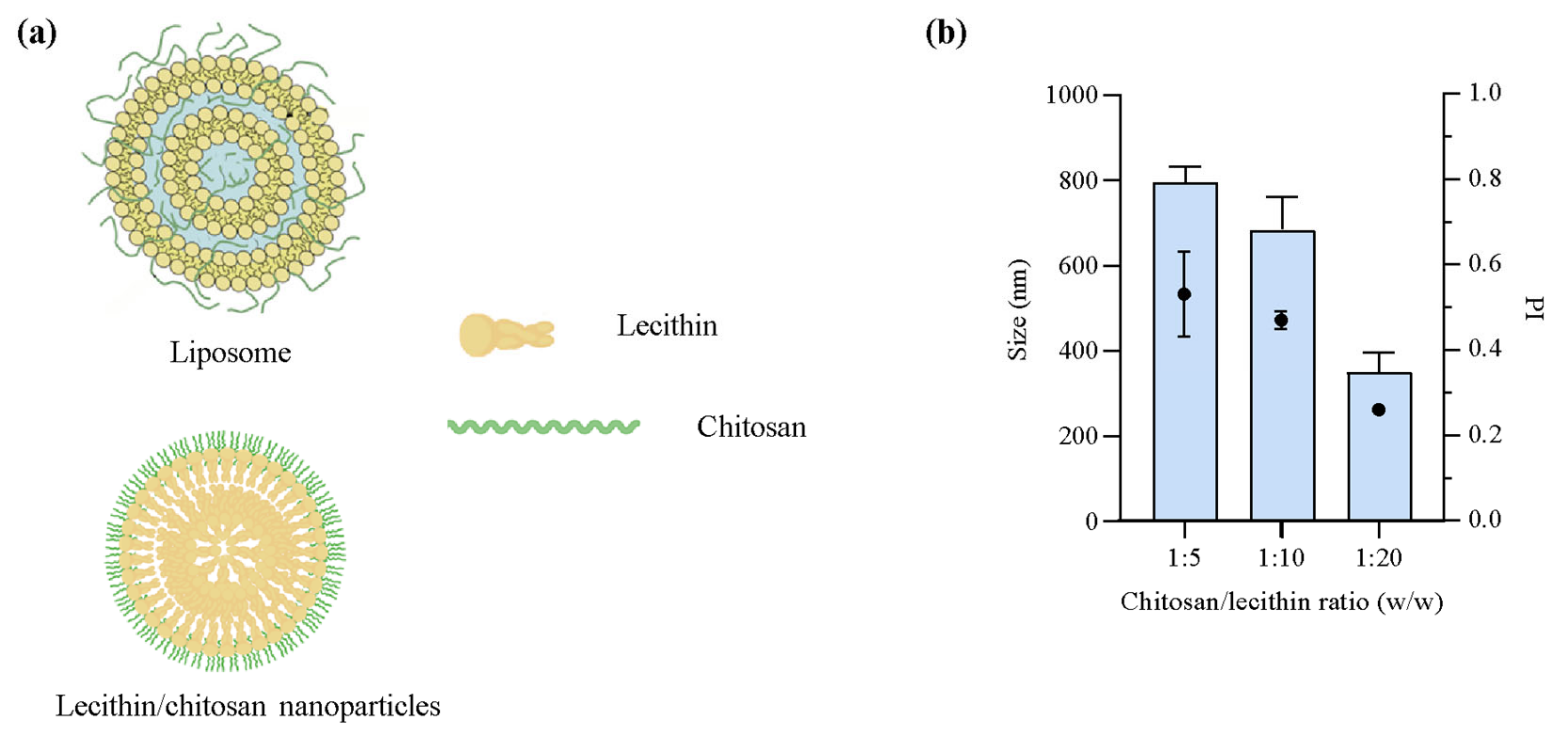 Pharmaceuticals Free FullText Lecithin and Chitosan as Building