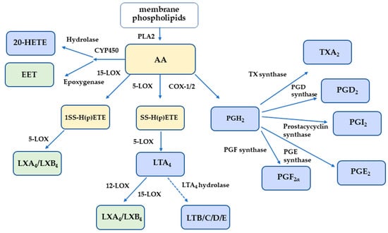 What is the recommended path in this Ruy Lopez line? • page 2/2