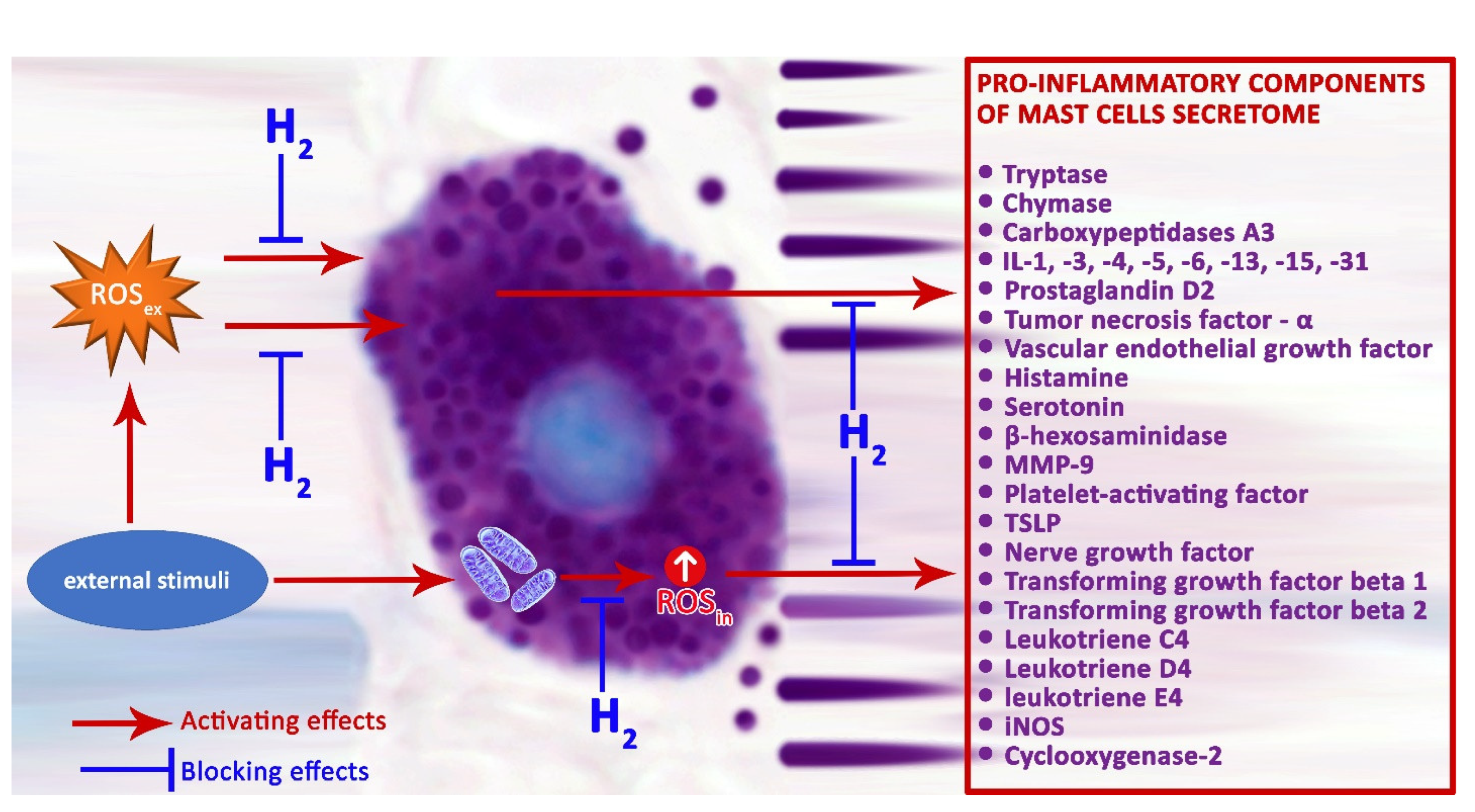 Pharmaceuticals 16 00817 g002 Pharmaceuticals 16 00817 g002