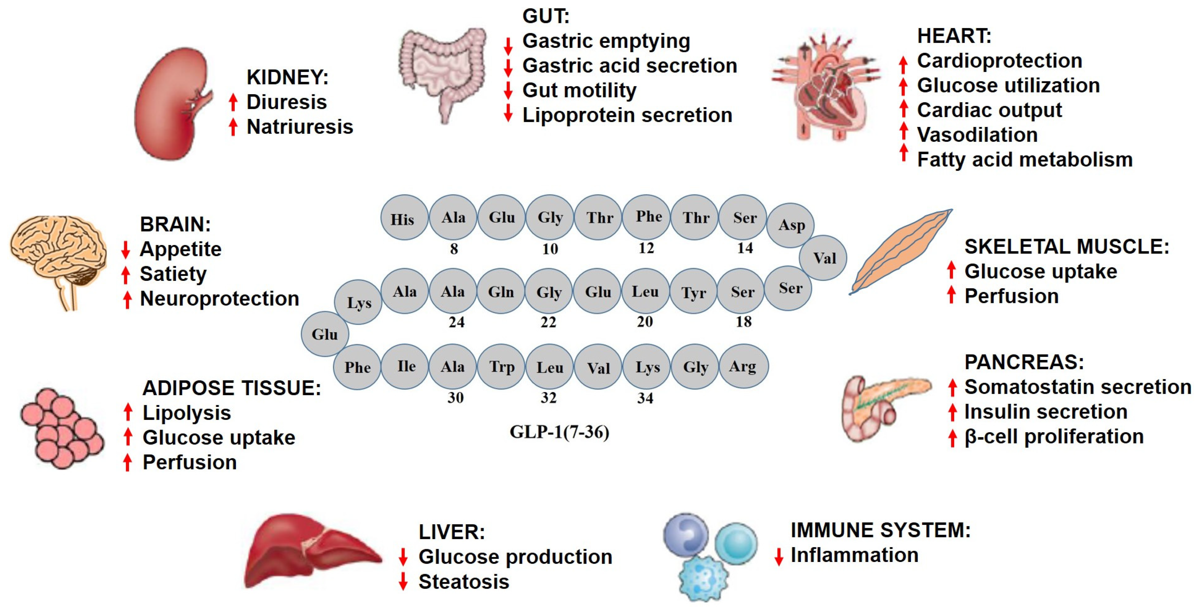 Pharmaceuticals 16 00836 g003