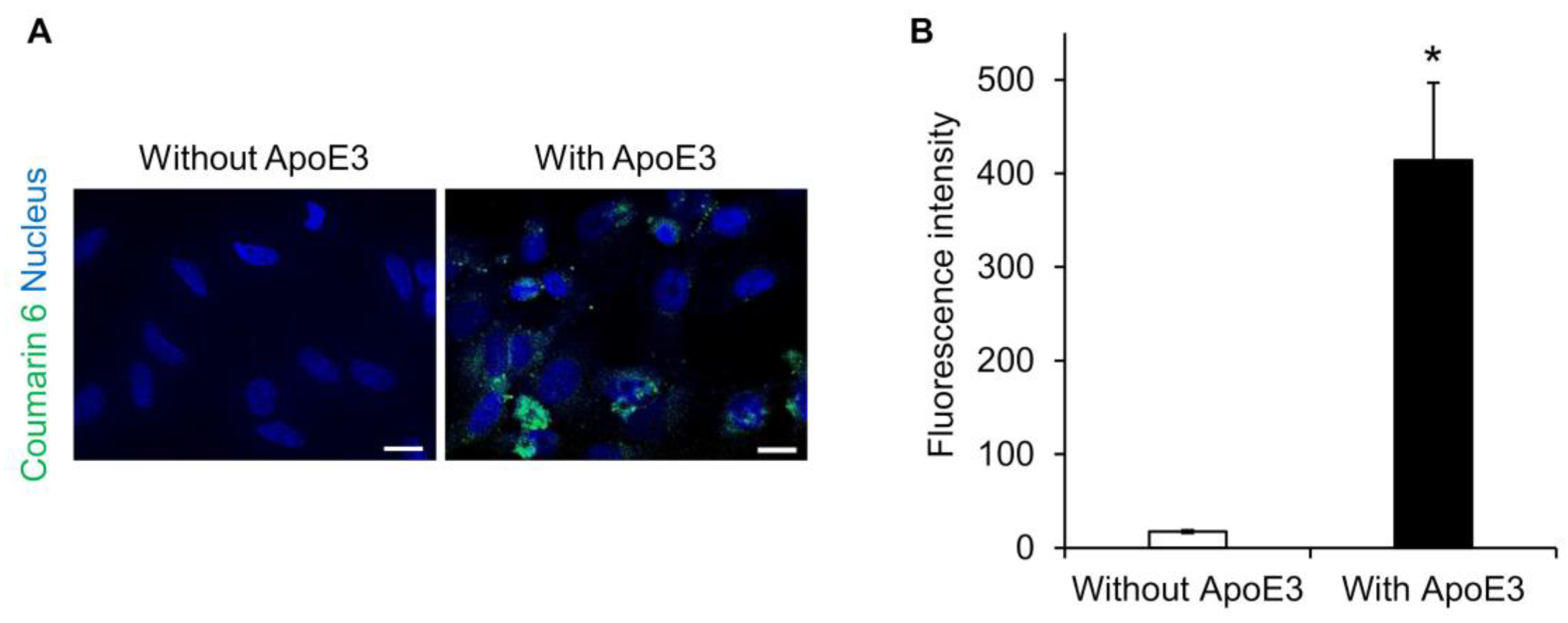 Pharmaceuticals | Free Full-Text | Intracellular Drug Delivery