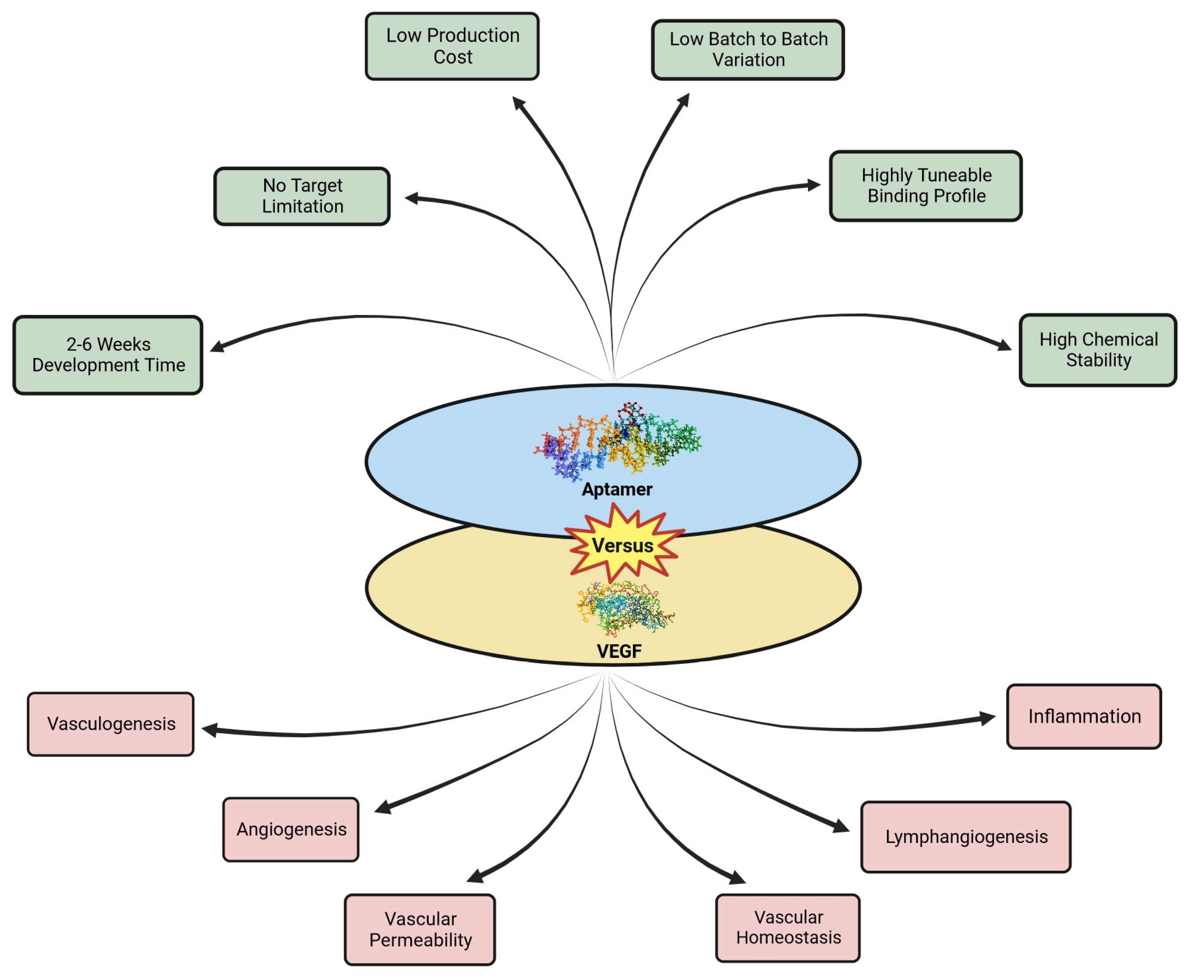 Pharmaceuticals 16 00849 g002 Pharmaceuticals 16 00849 g002