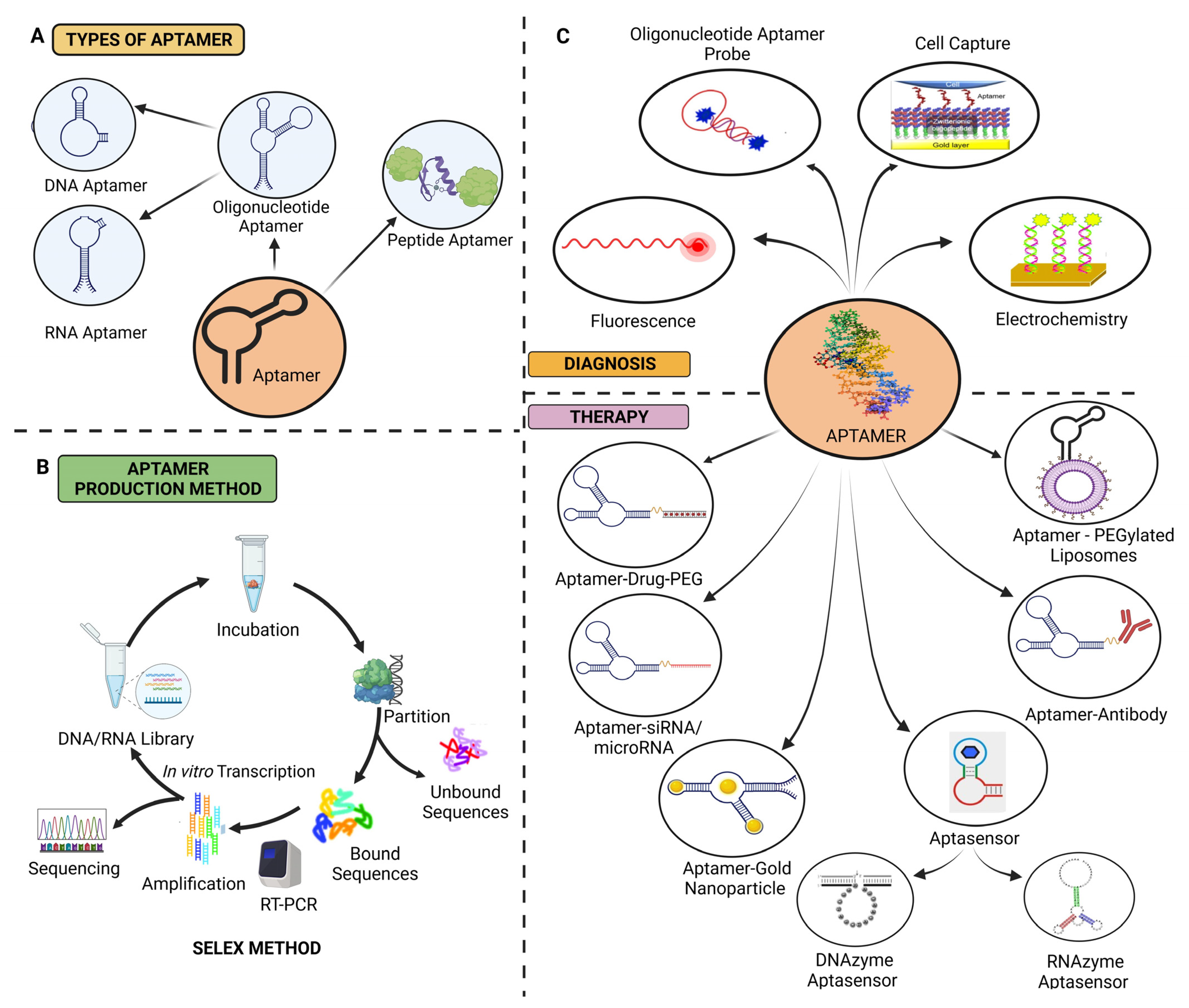 Pharmaceuticals 16 00849 g003 Pharmaceuticals 16 00849 g003
