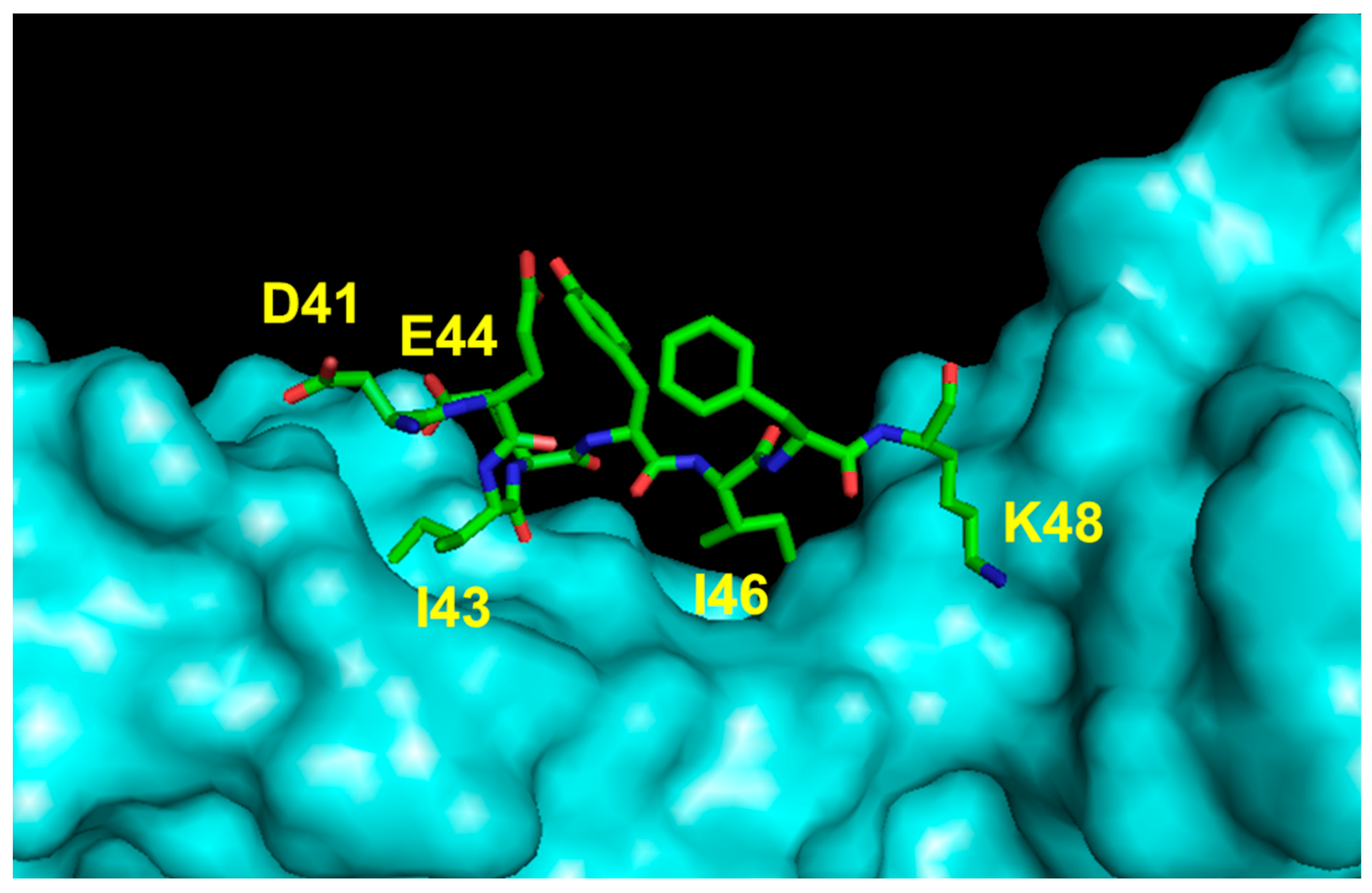 Pharmaceuticals 16 00851 g006