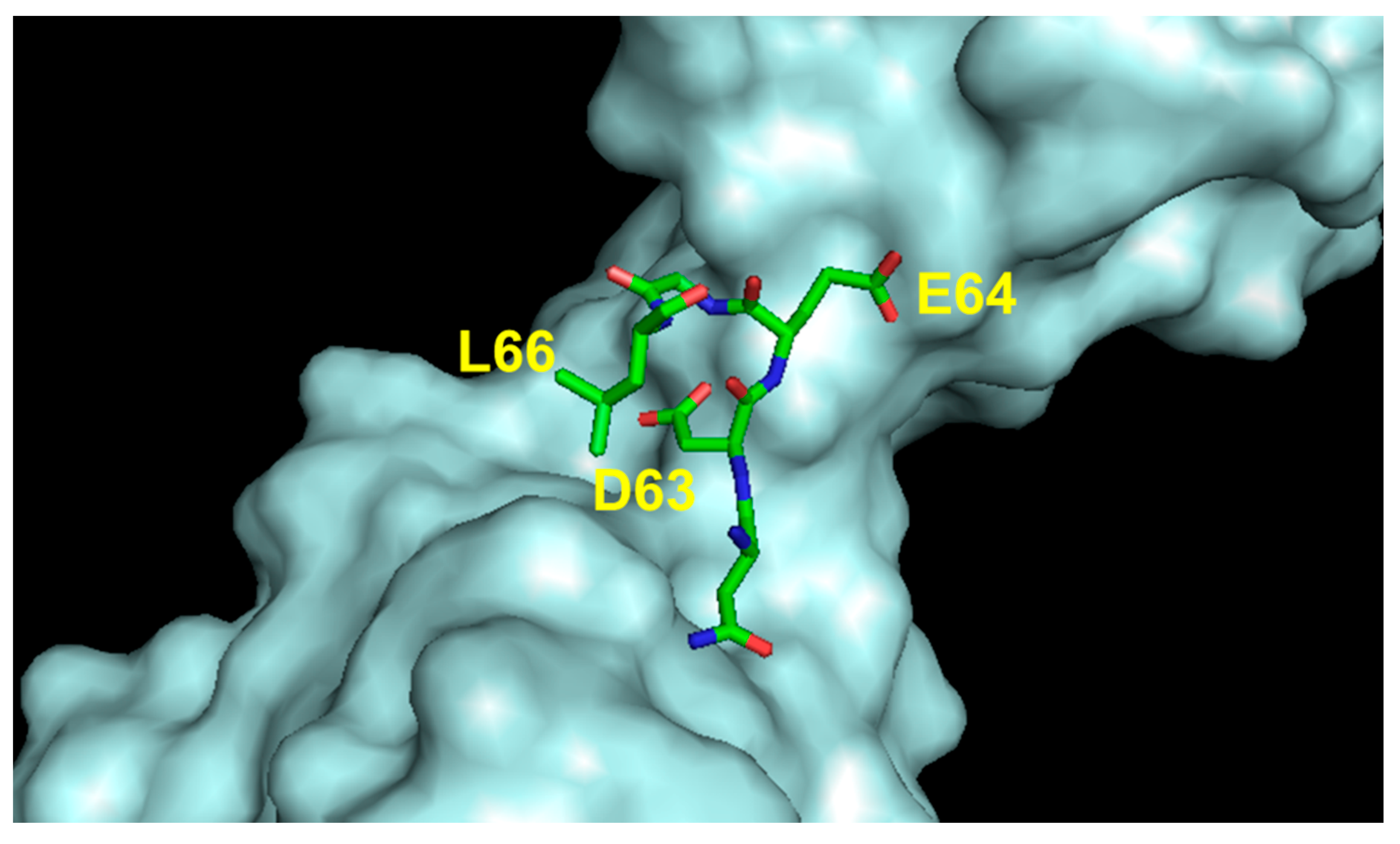 Pharmaceuticals 16 00851 g007