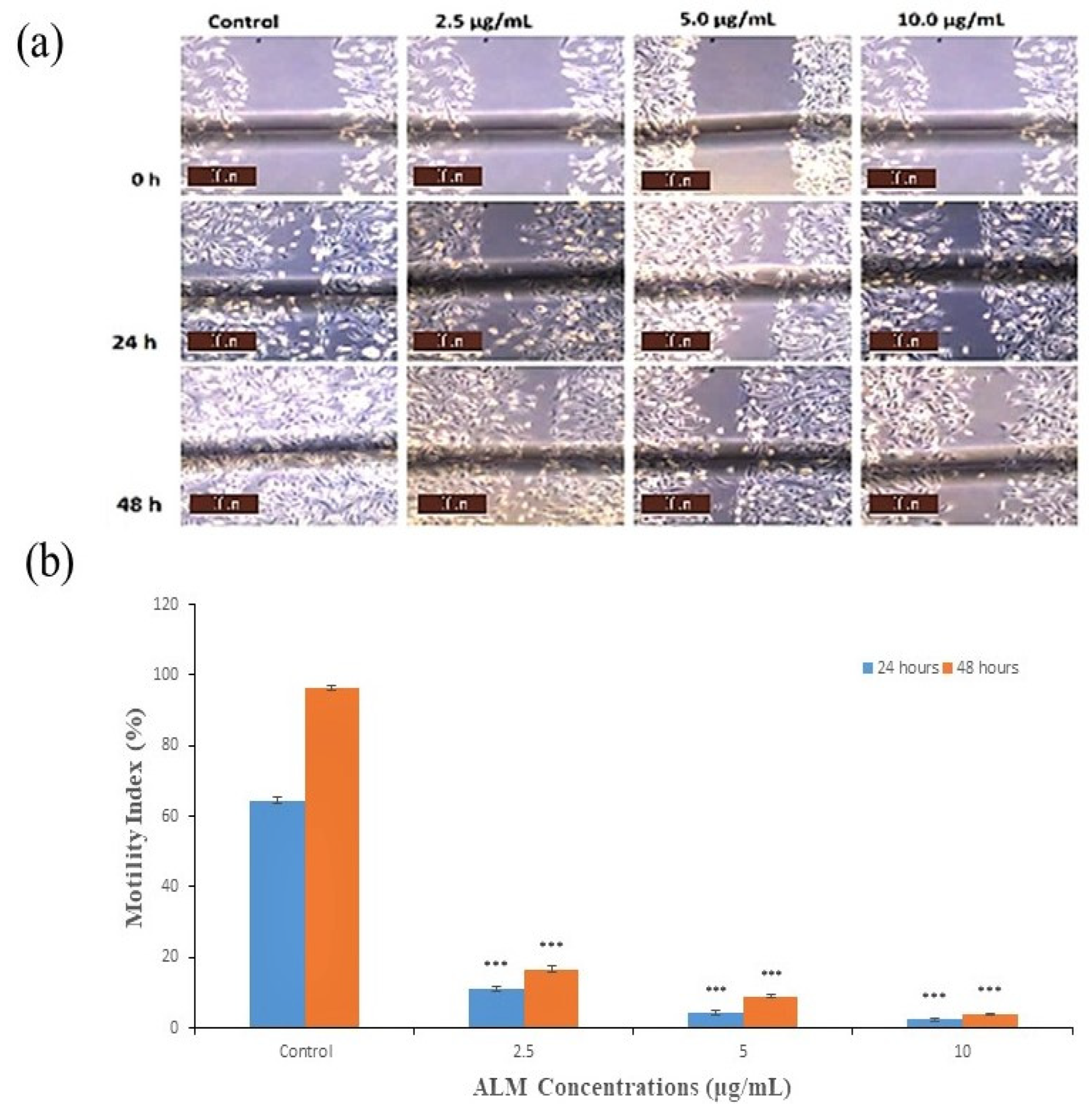 Pharmaceuticals 16 00858 g004 Pharmaceuticals 16 00858 g004