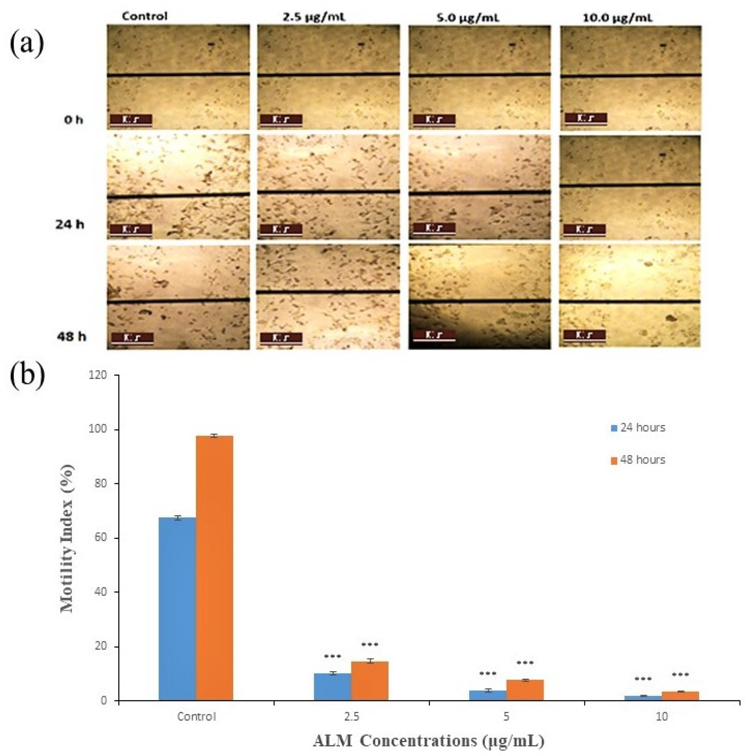 Pharmaceuticals 16 00858 g005 Pharmaceuticals 16 00858 g005