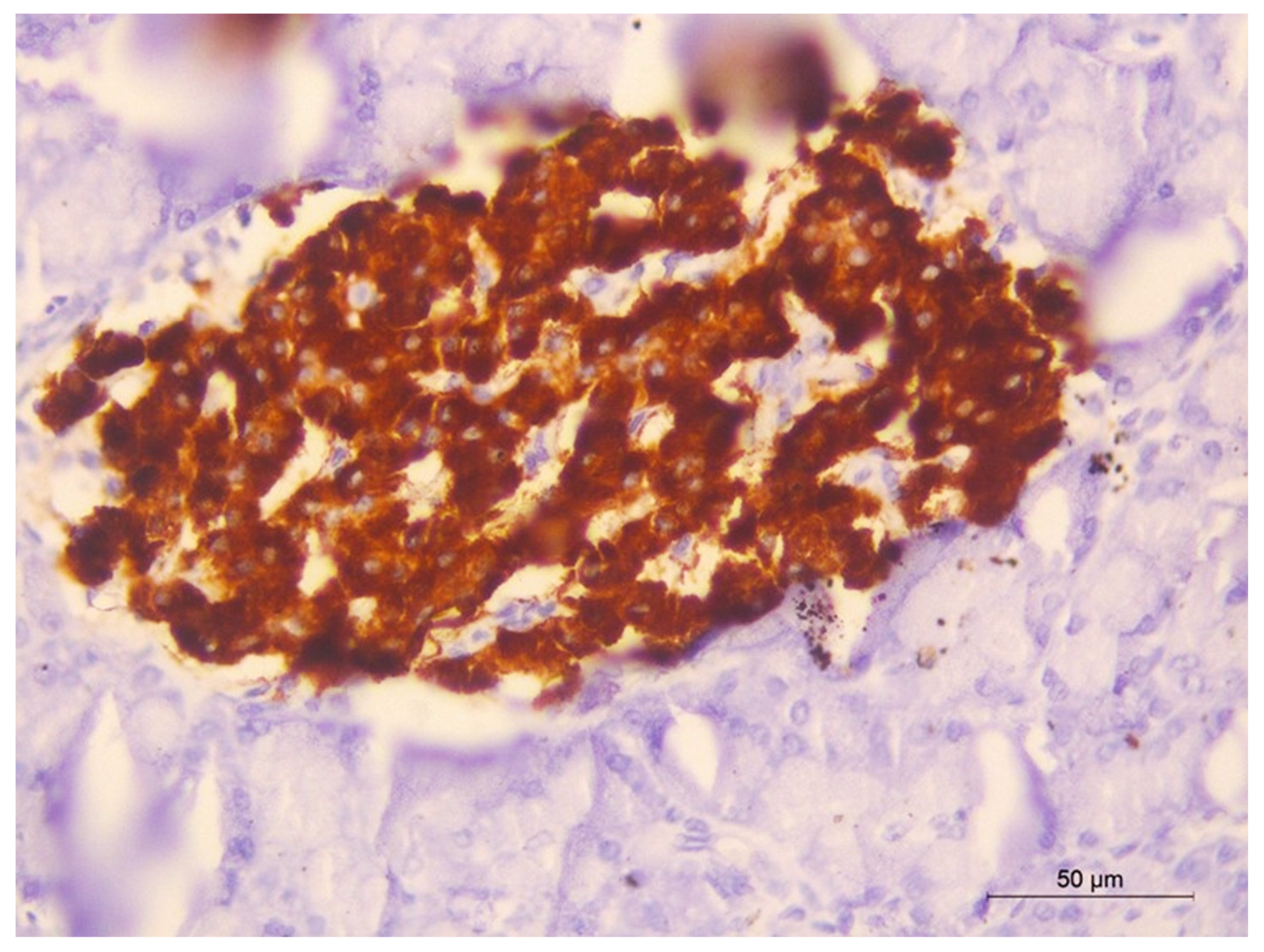 Pharmaceuticals 16 00859 g007 Pharmaceuticals 16 00859 g007