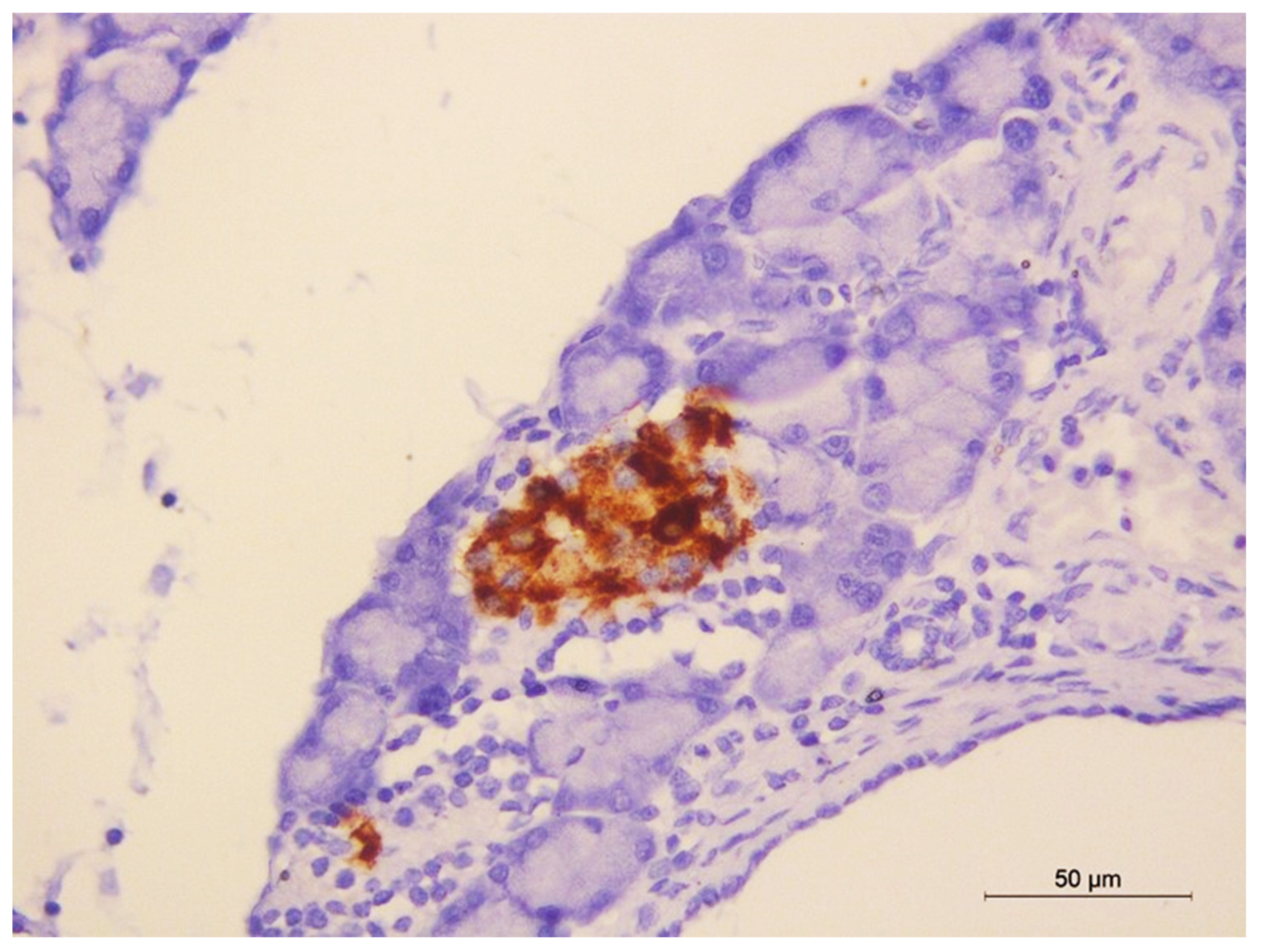 Pharmaceuticals 16 00859 g009 Pharmaceuticals 16 00859 g009