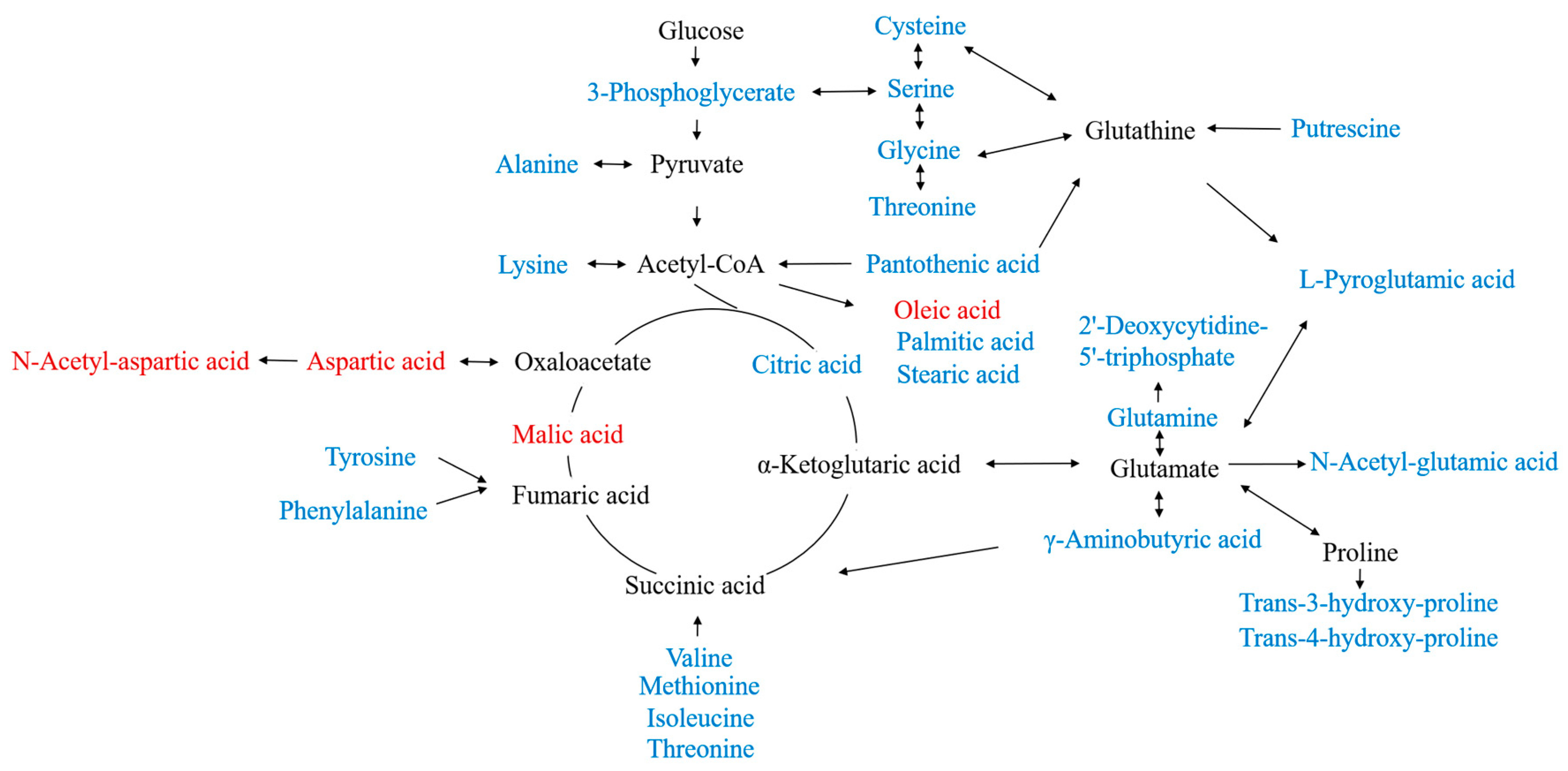Pharmaceuticals 16 00861 g006