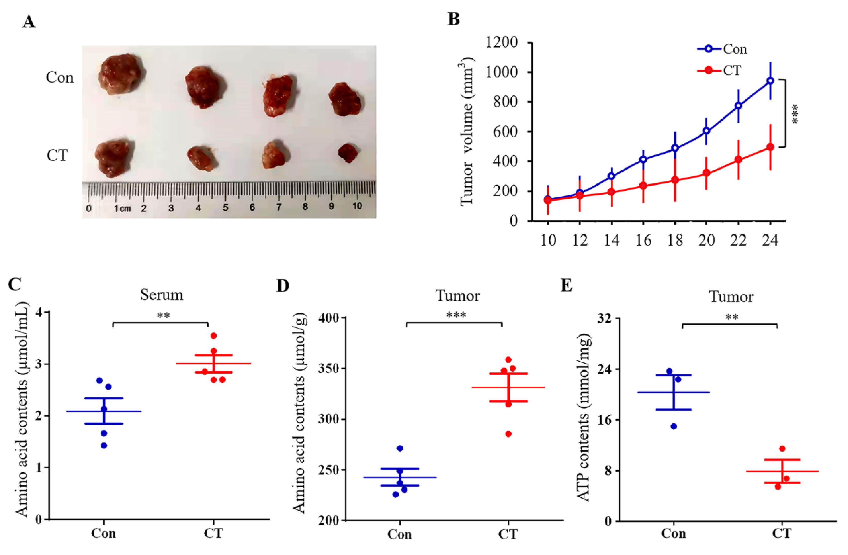 Pharmaceuticals 16 00861 g008