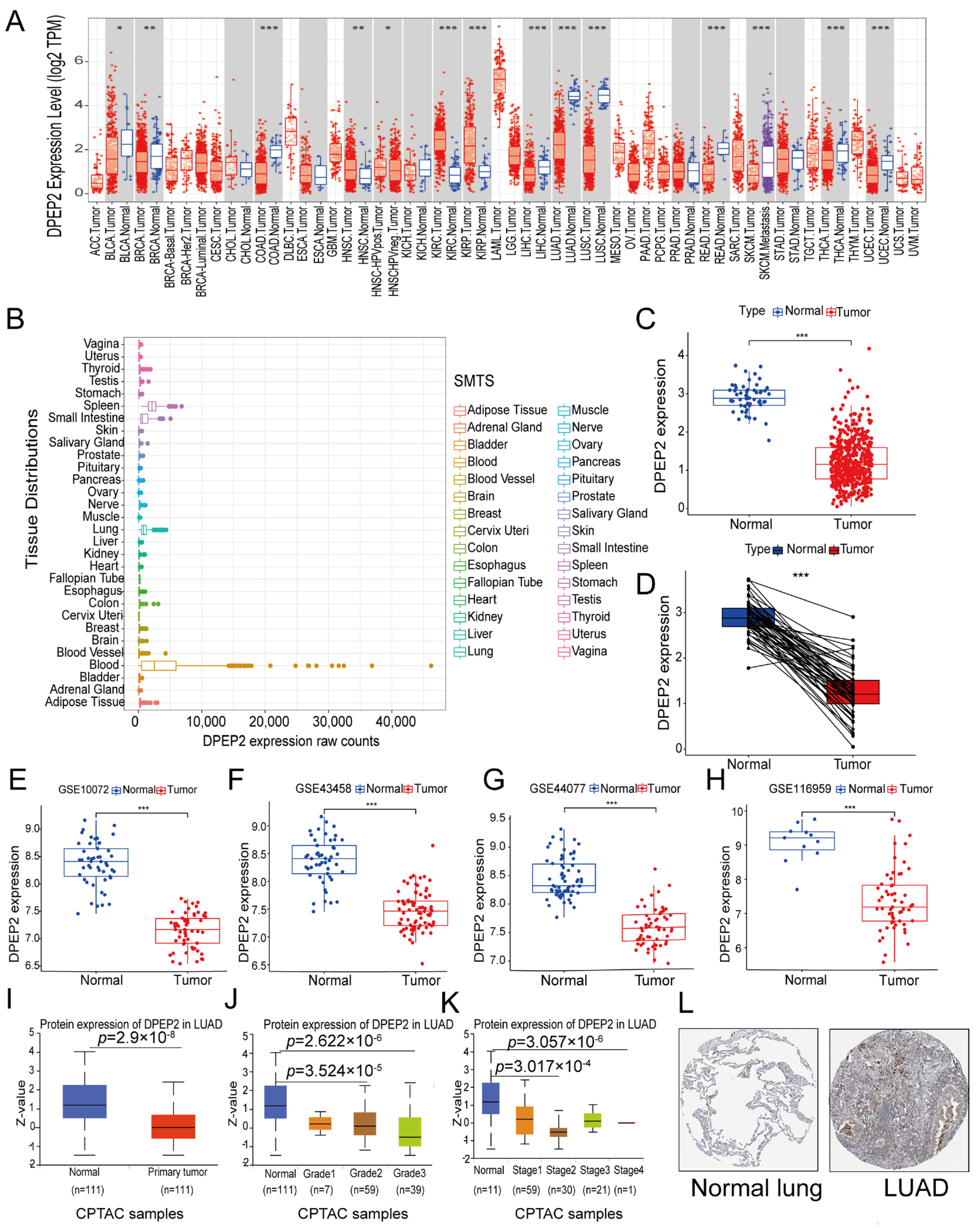 Pharmaceuticals 16 00871 g001