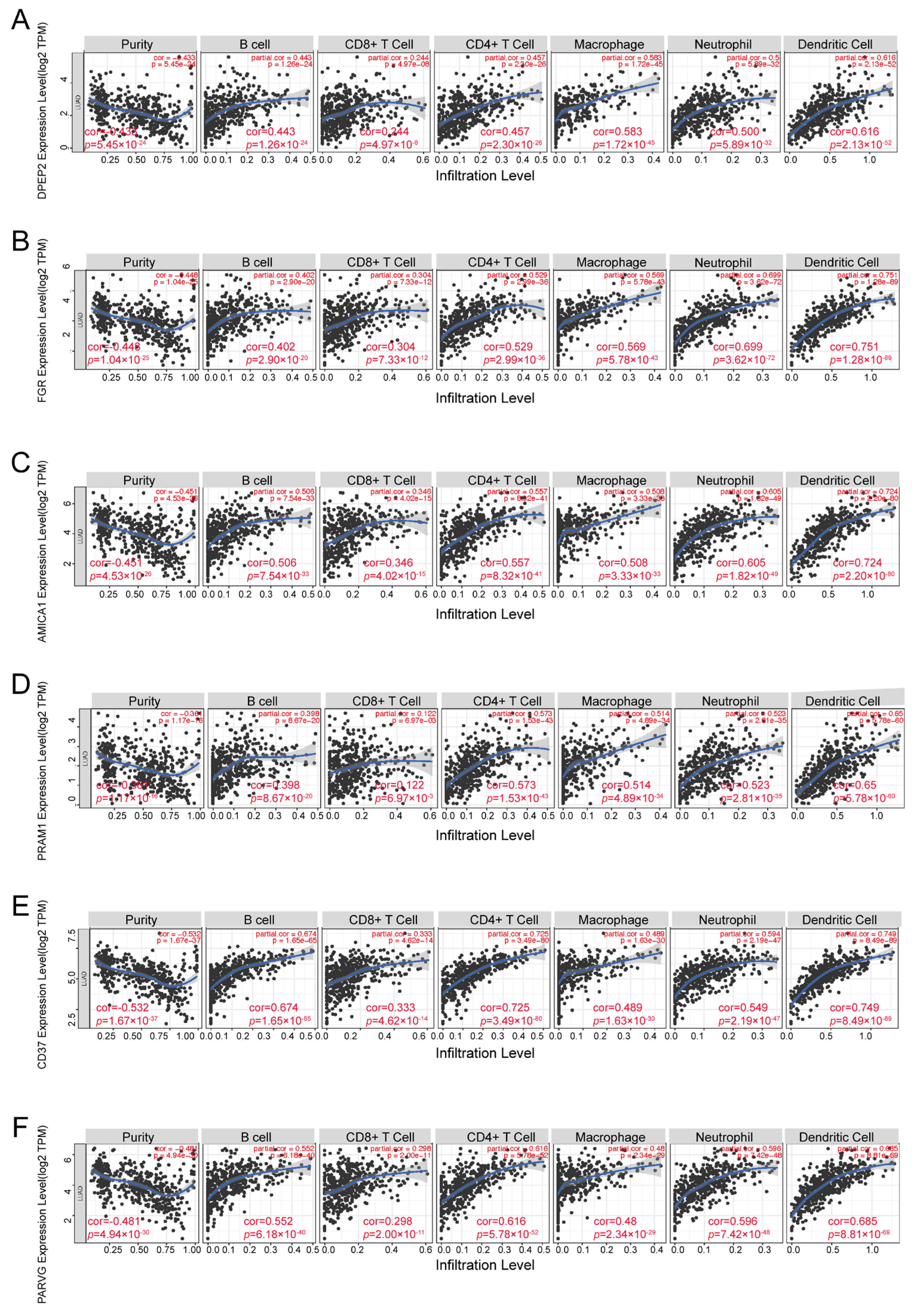 Pharmaceuticals 16 00871 g004