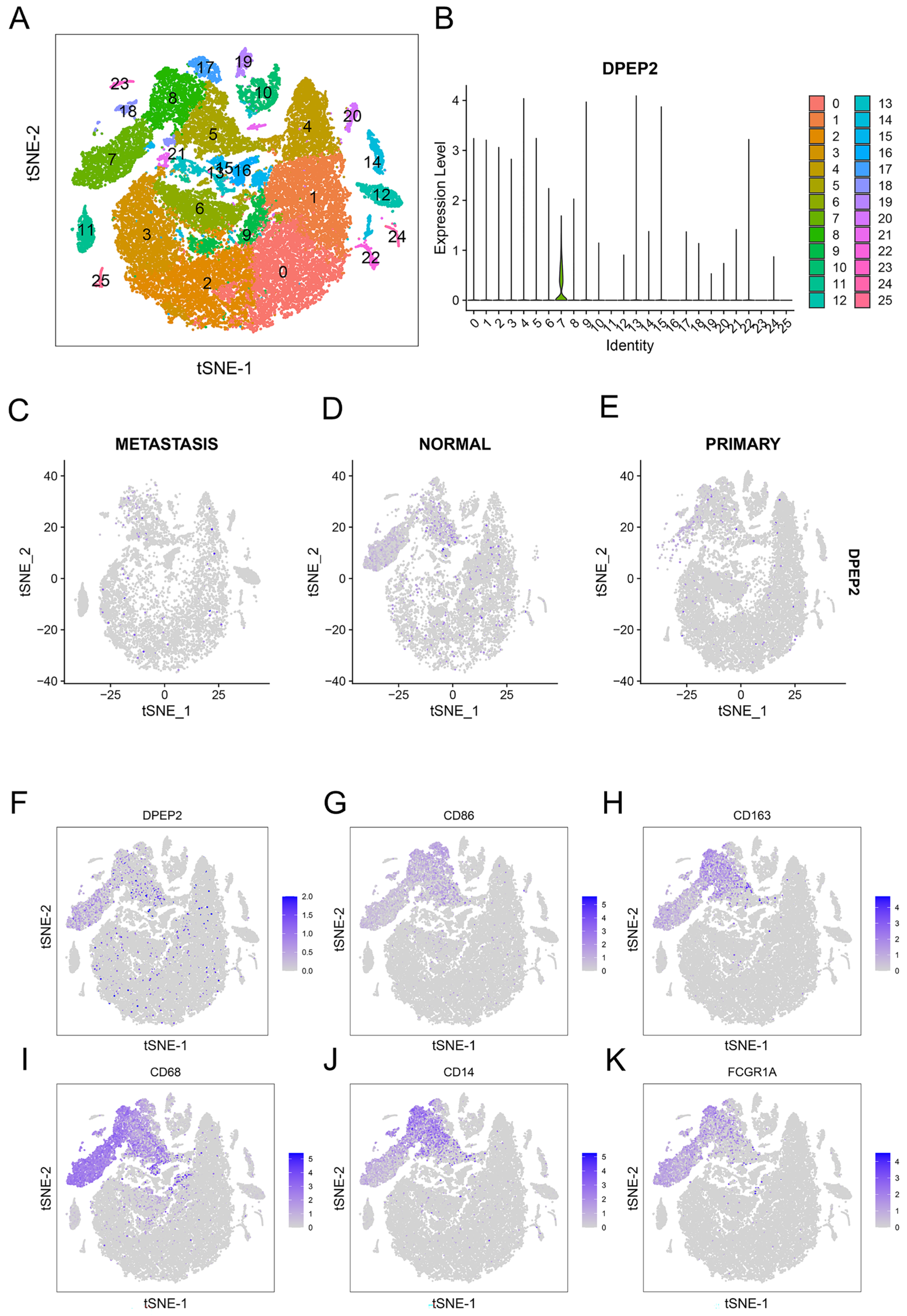 Pharmaceuticals 16 00871 g007