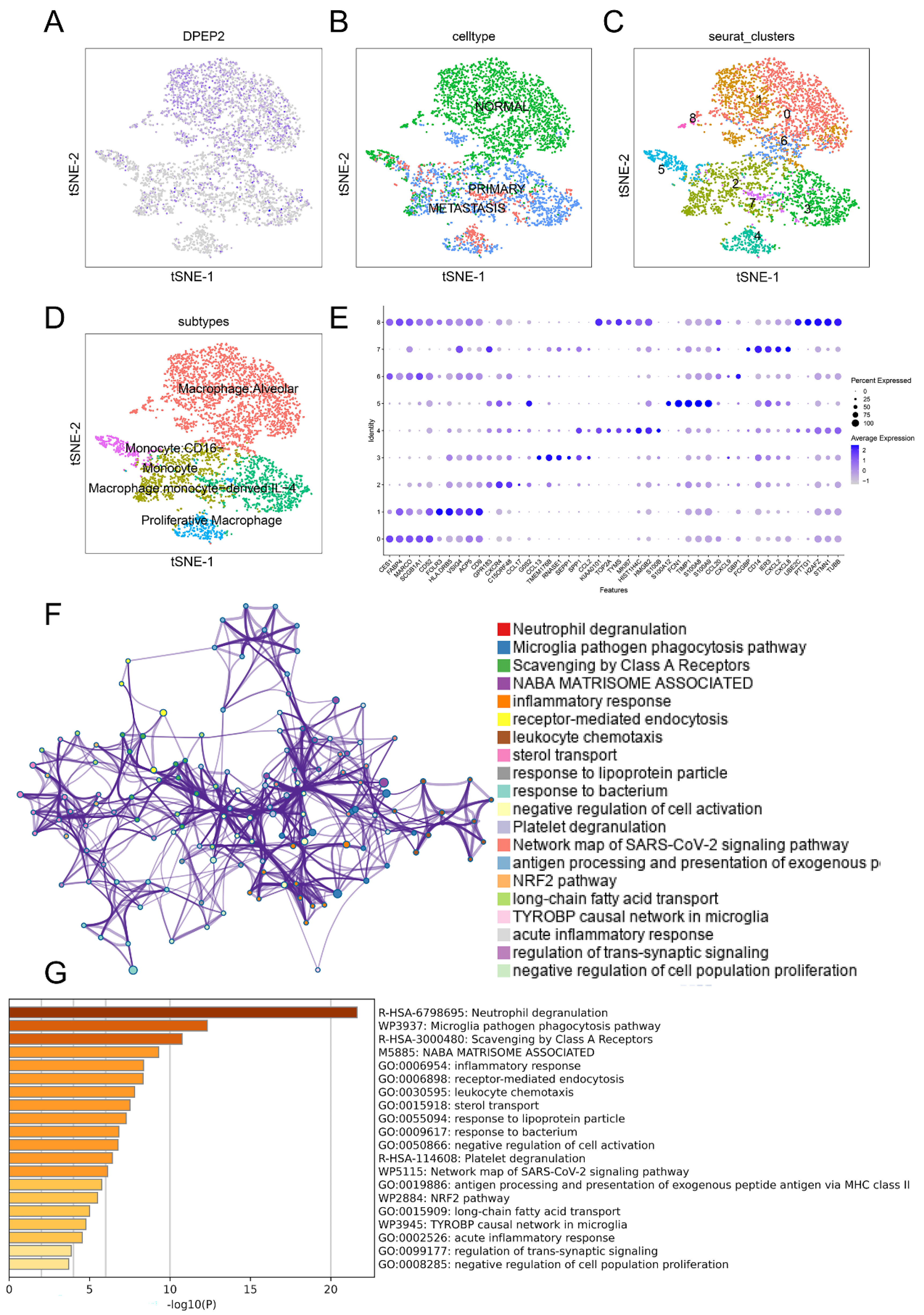 Pharmaceuticals 16 00871 g008