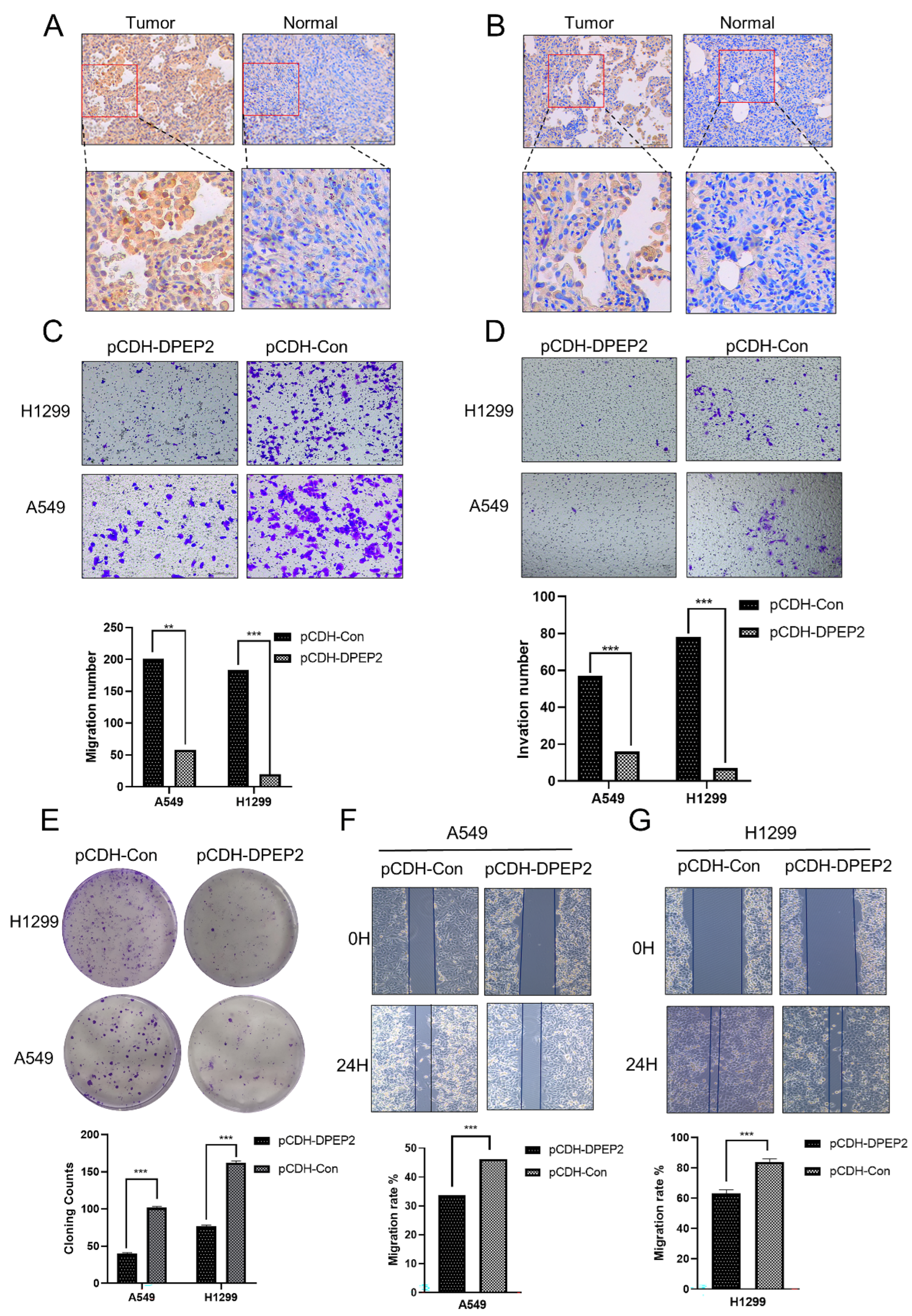Pharmaceuticals 16 00871 g010