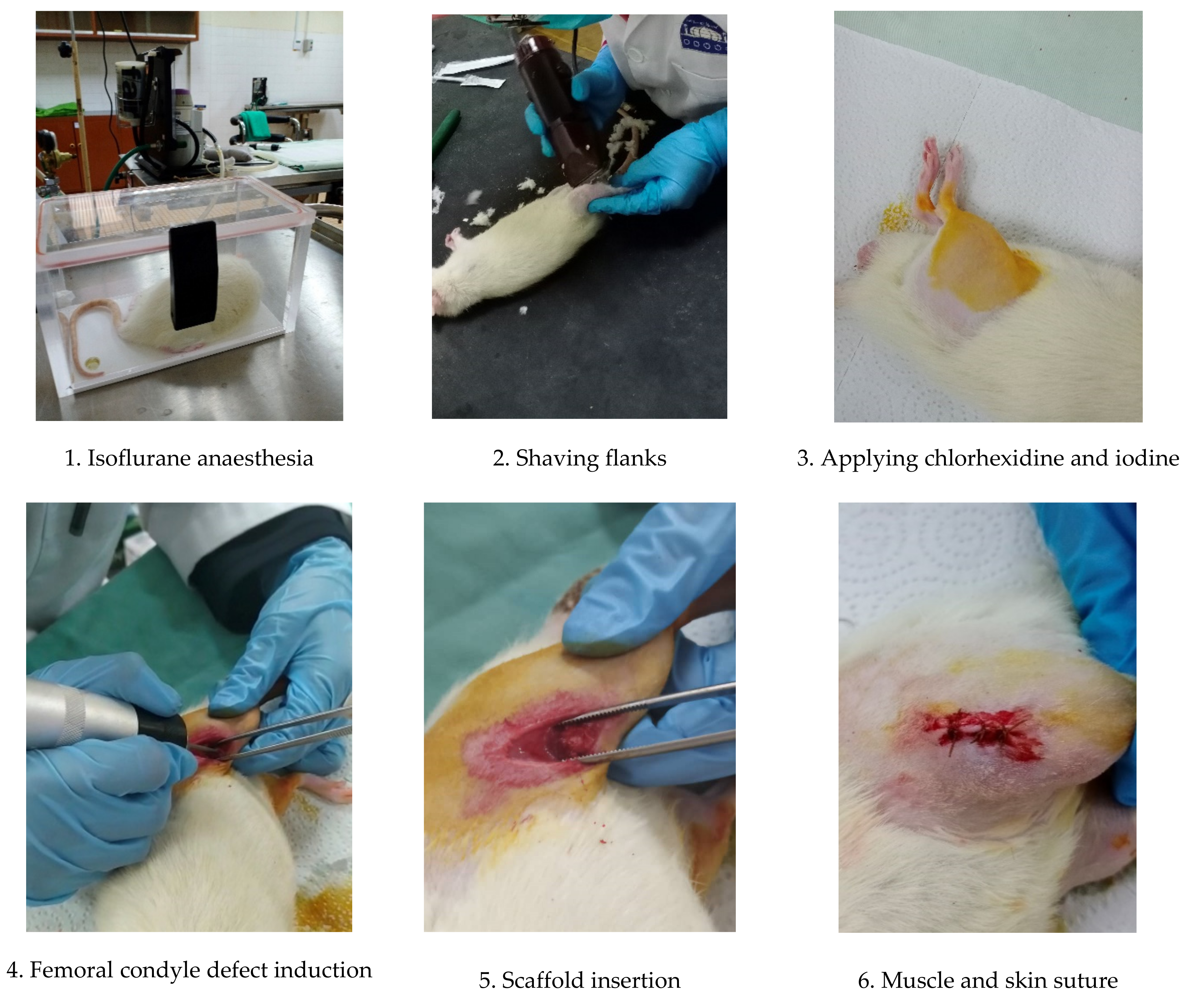 Pharmaceuticals 16 00876 g005