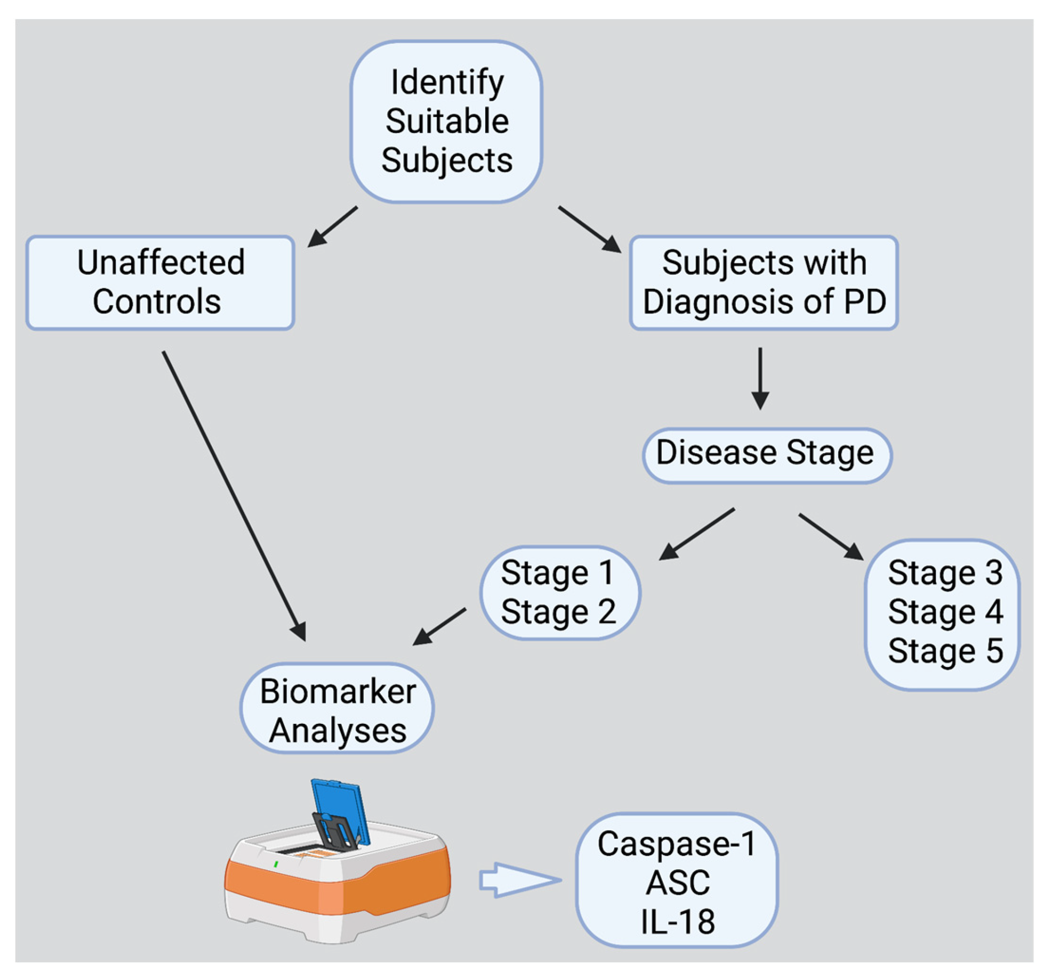 Pharmaceuticals 16 00883 g004