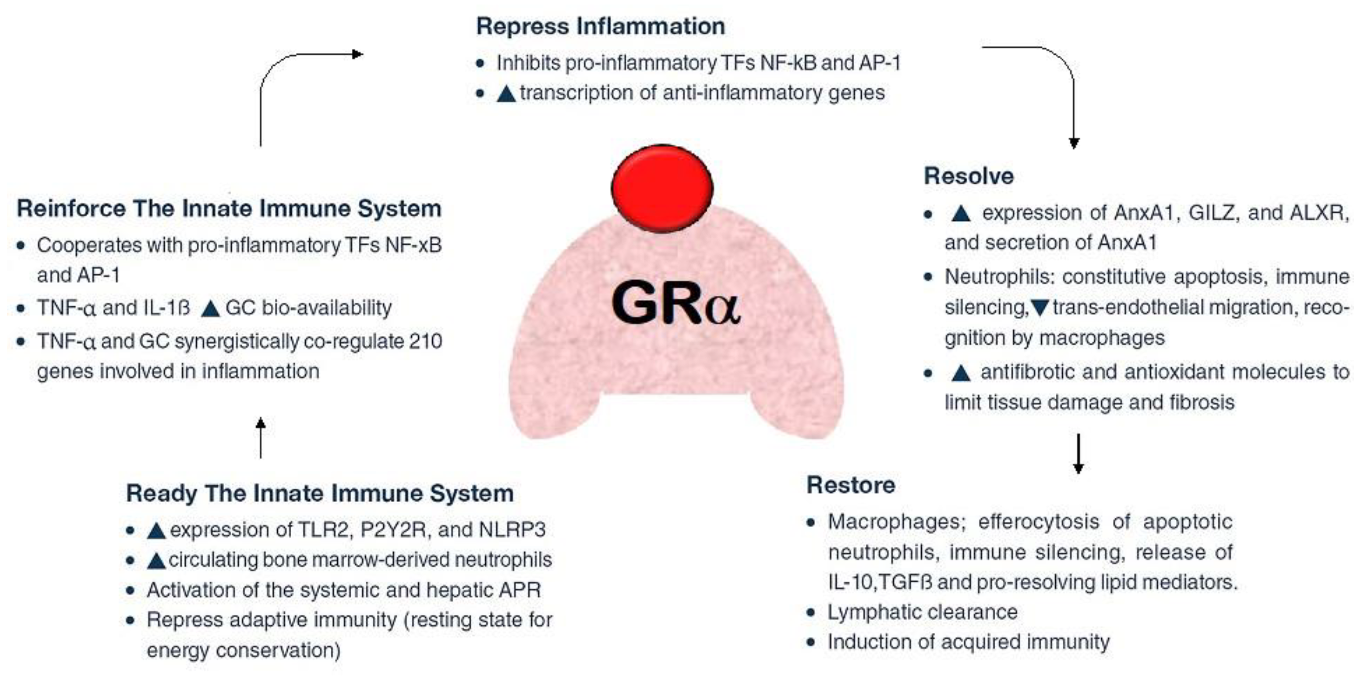 Pharmaceuticals 16 00924 g003