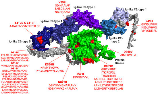 Pharmaceuticals | Free Full-Text | A Peptide Vaccine Design Targeting ...