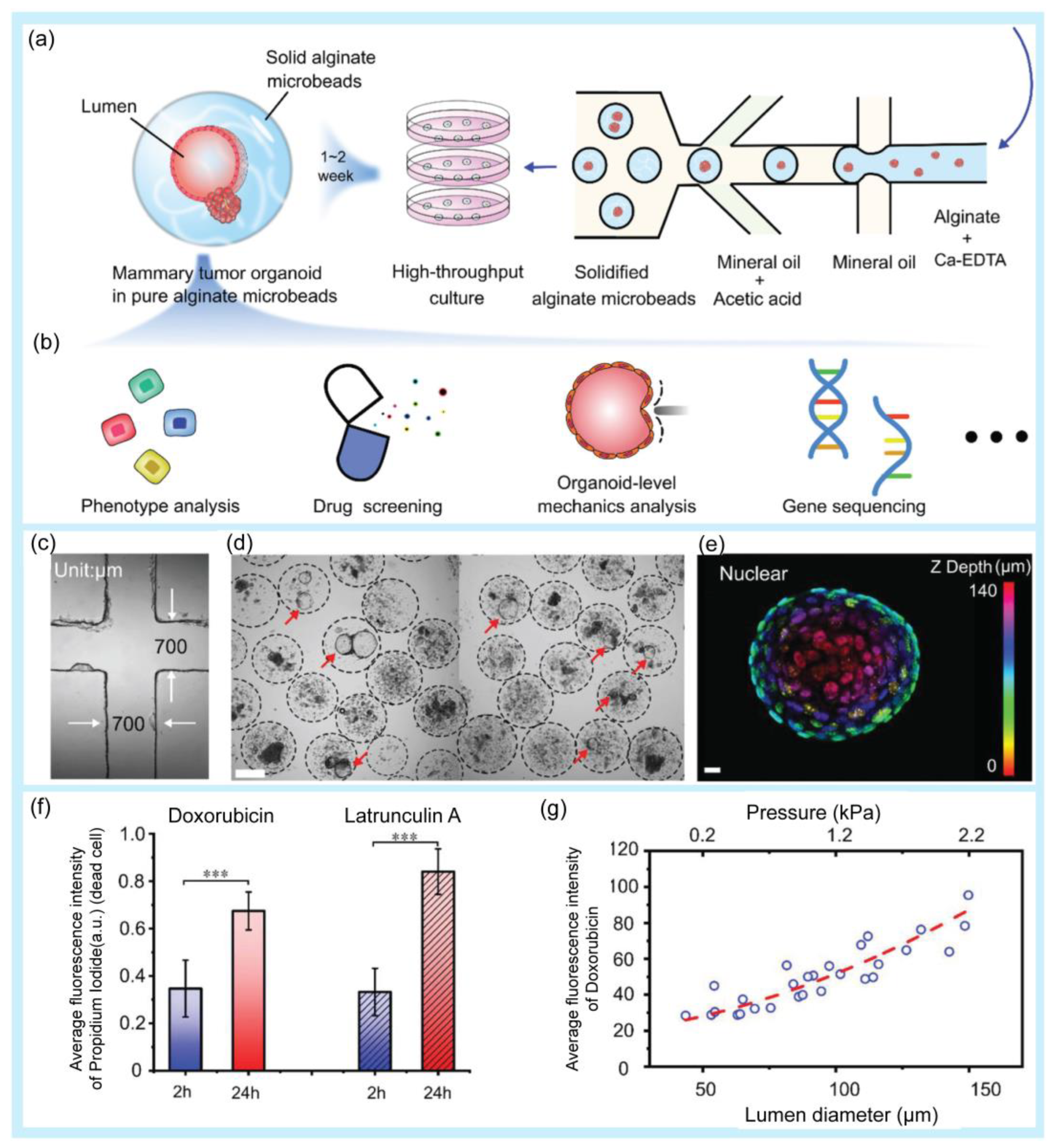 Pharmaceuticals 16 00937 g005