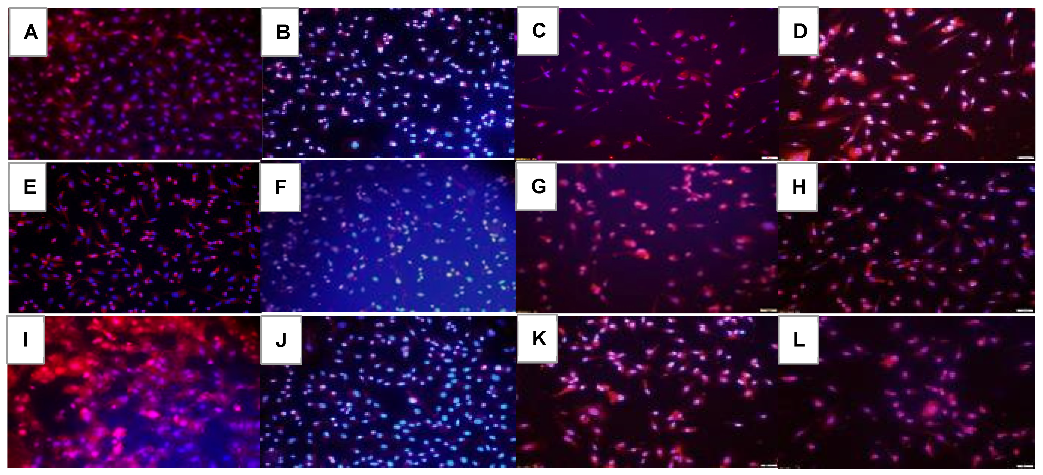 Pharmaceuticals 16 00939 g006