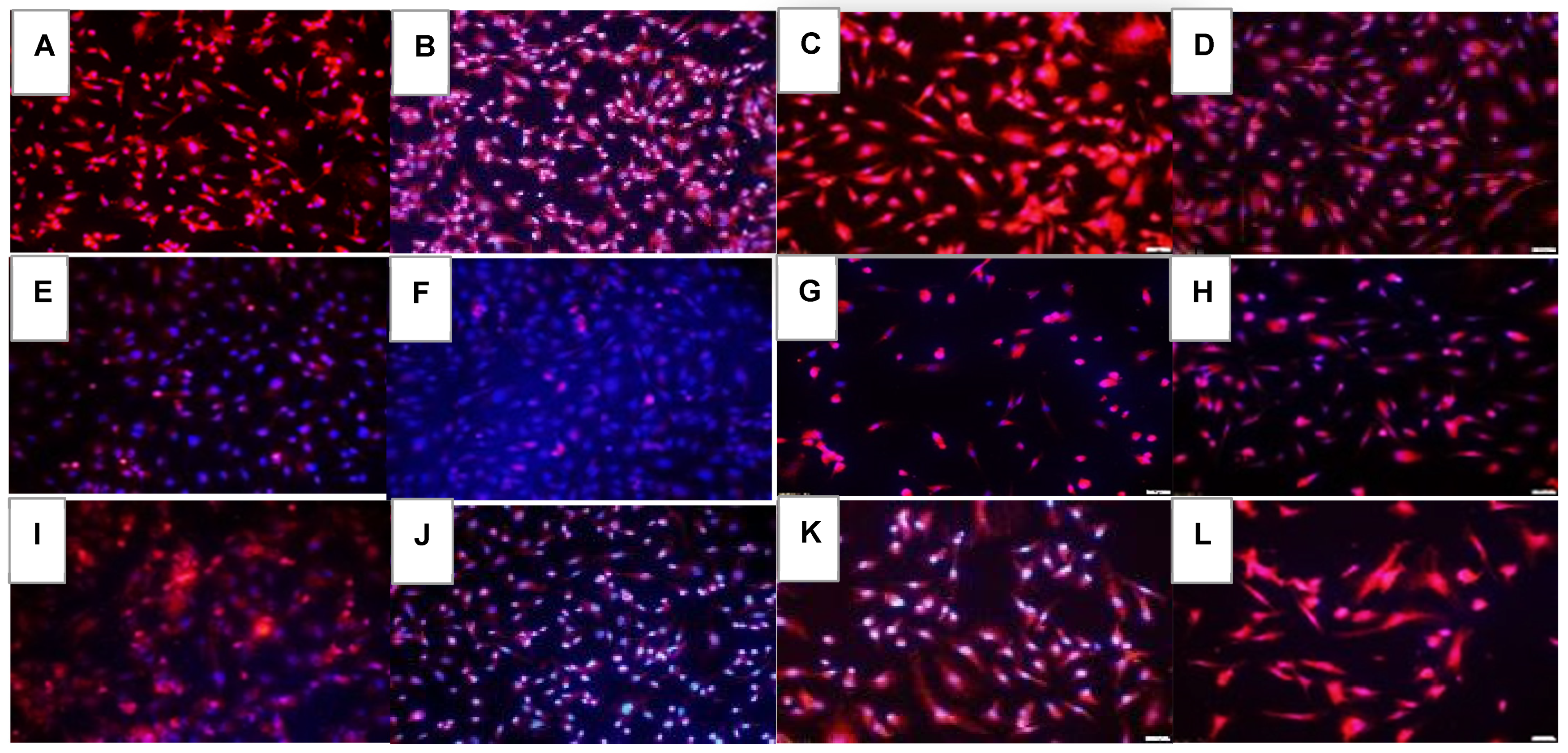Pharmaceuticals 16 00939 g007