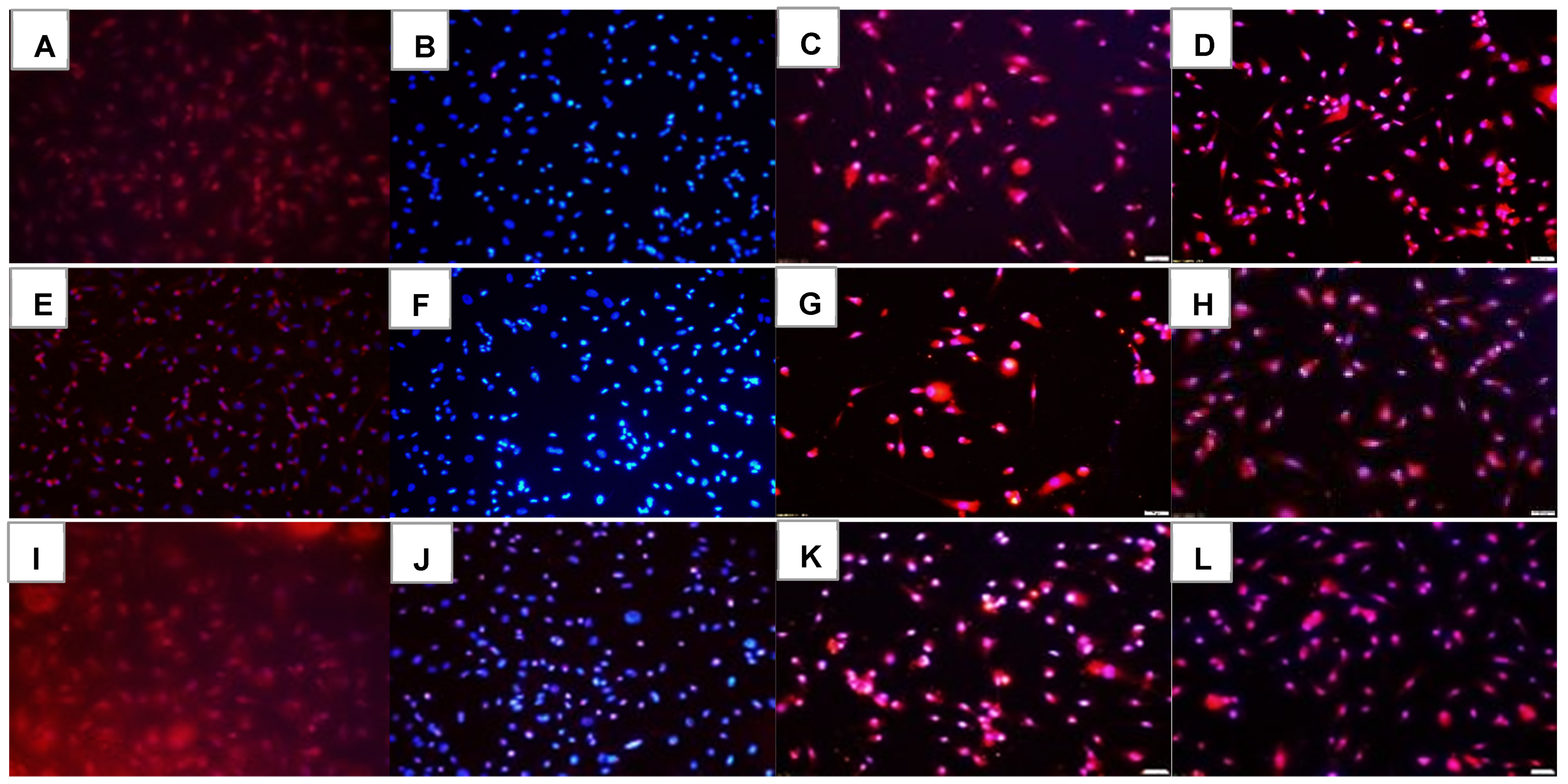 Pharmaceuticals 16 00939 g009