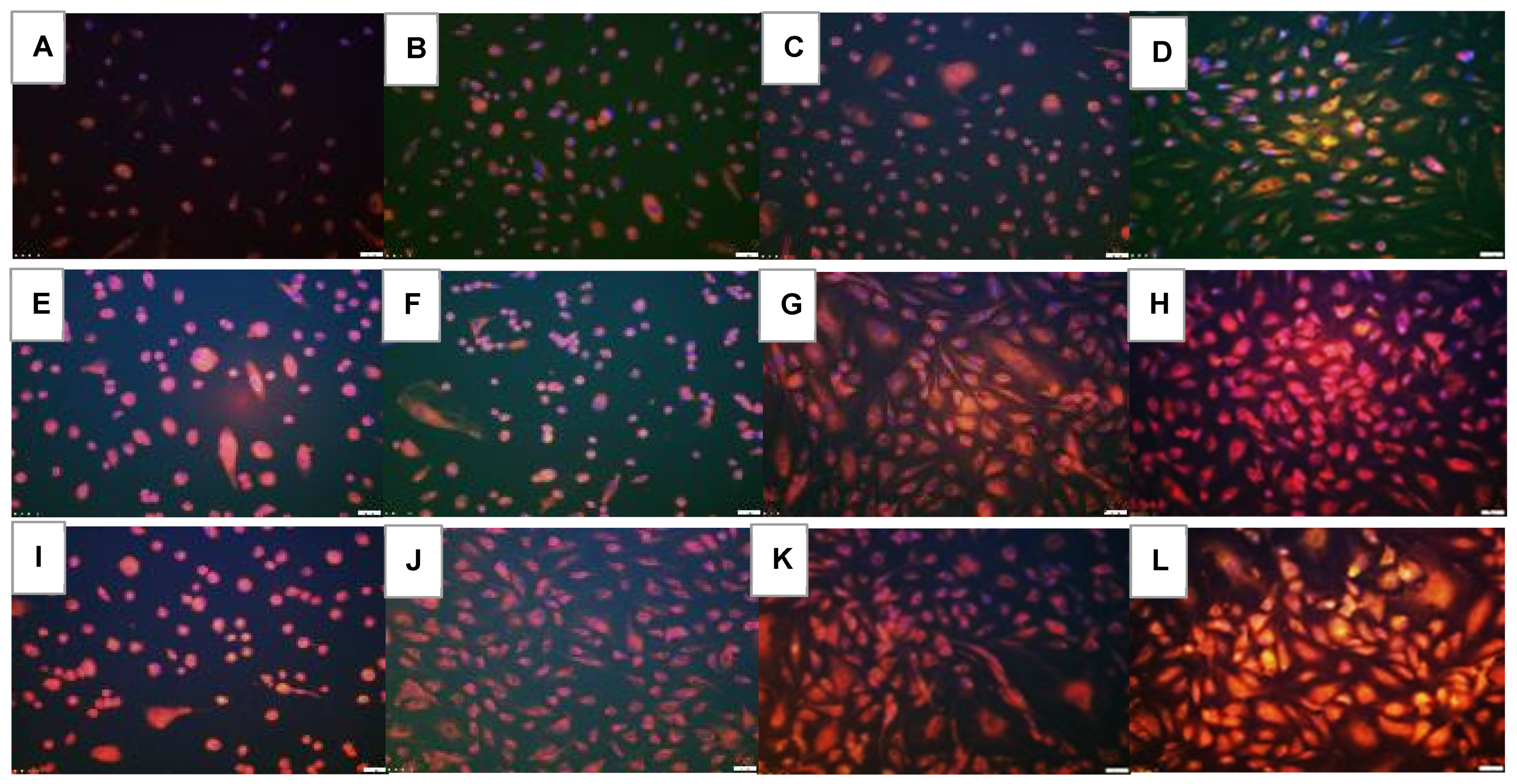 Pharmaceuticals 16 00939 g014