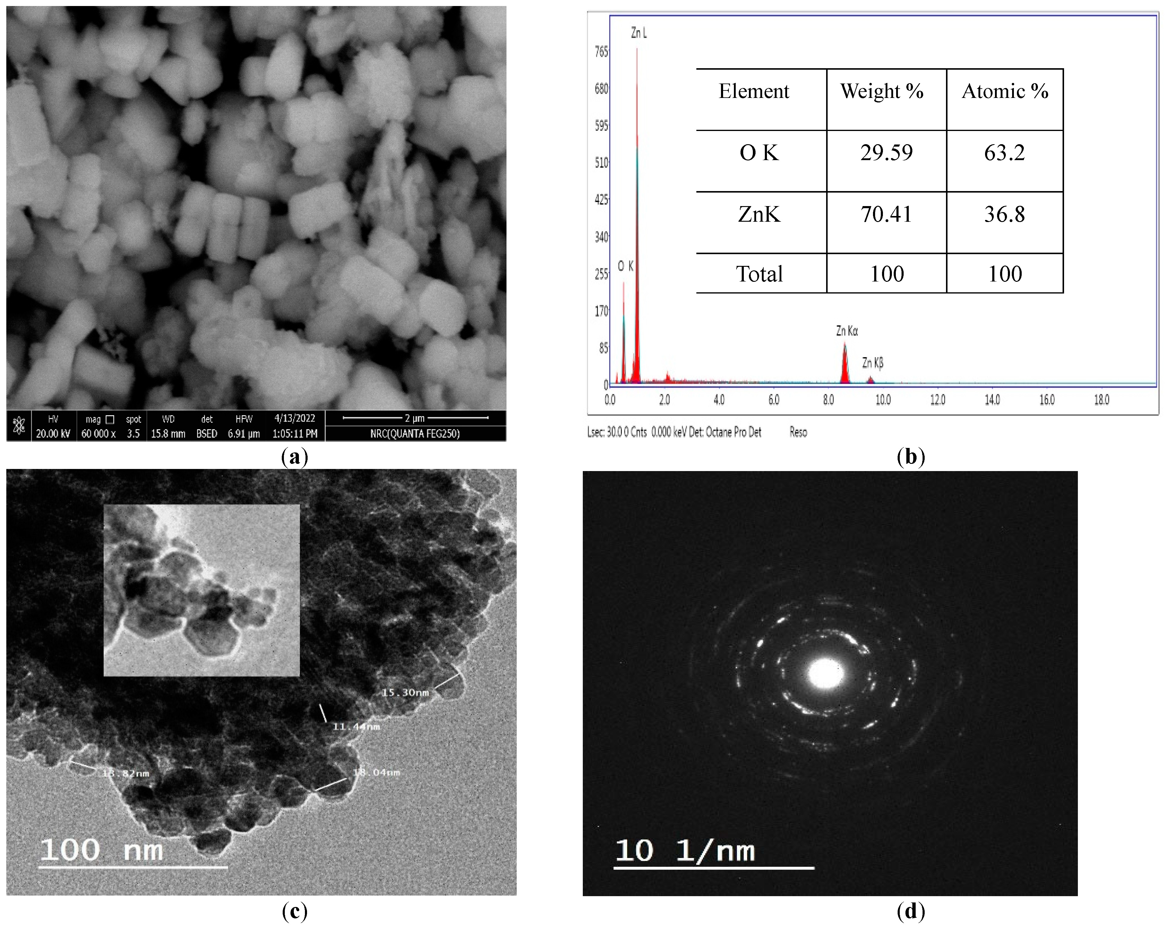 Pharmaceuticals 16 00969 g003