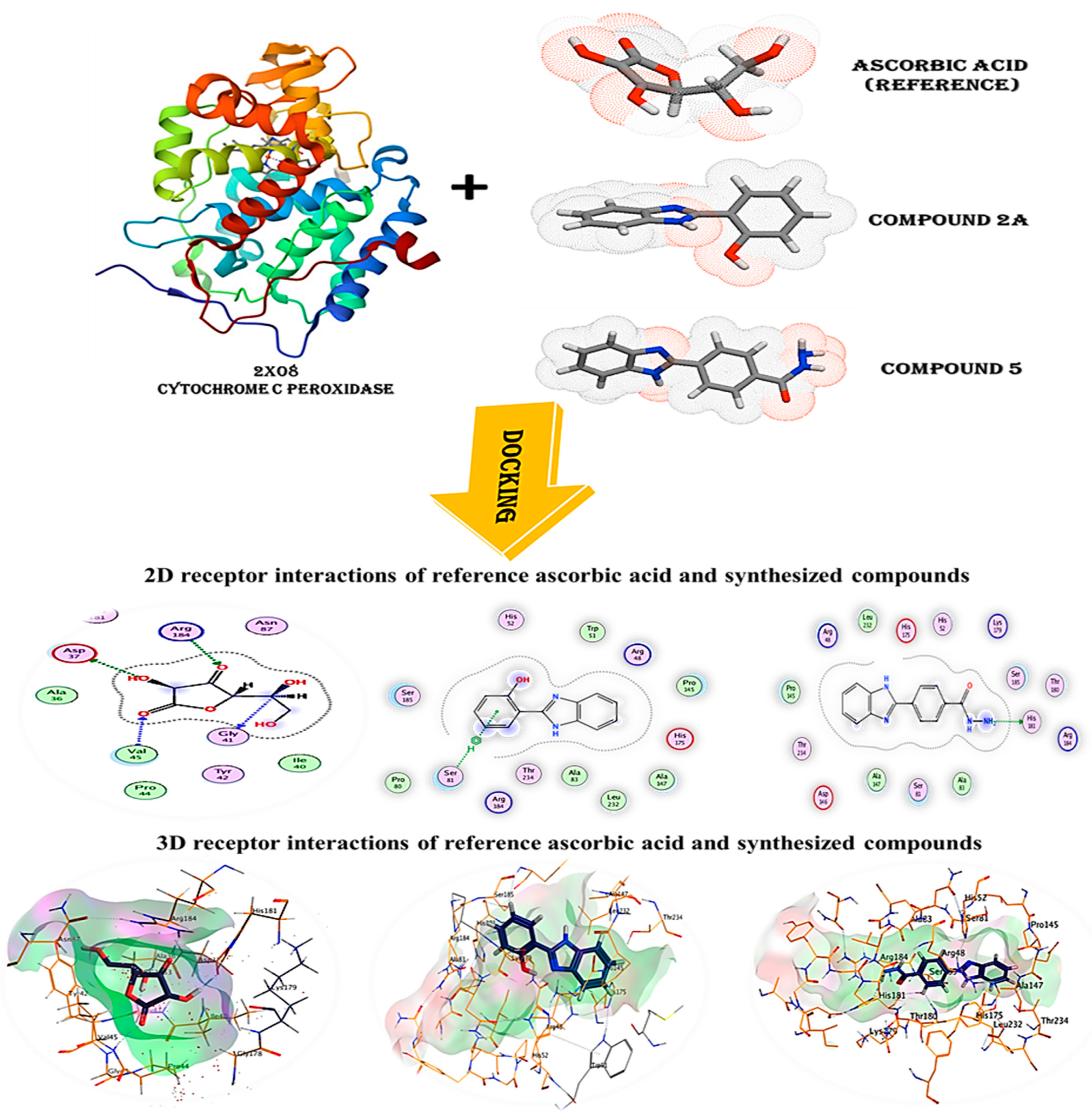 Pharmaceuticals 16 00969 g006