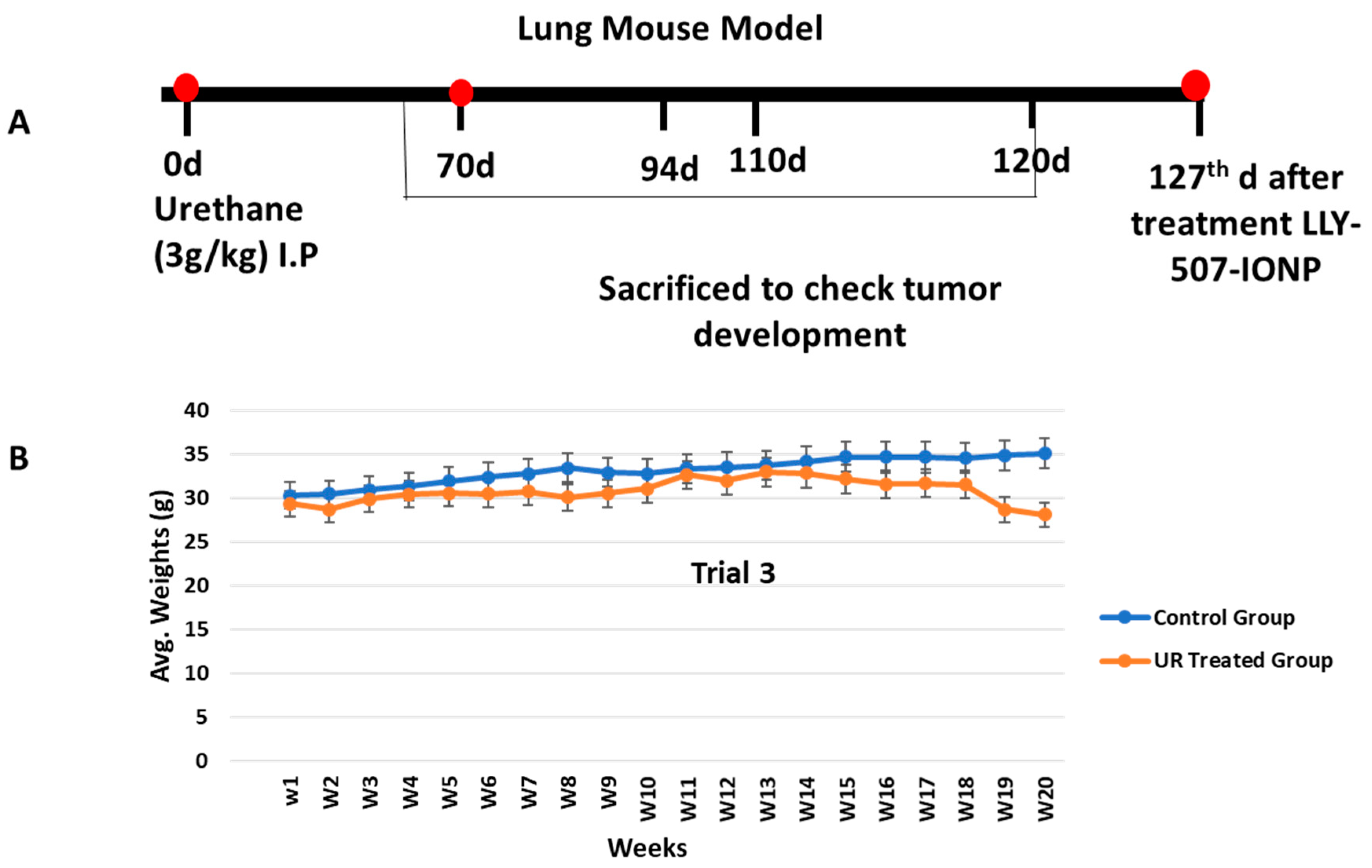 Pharmaceuticals 16 00986 g006
