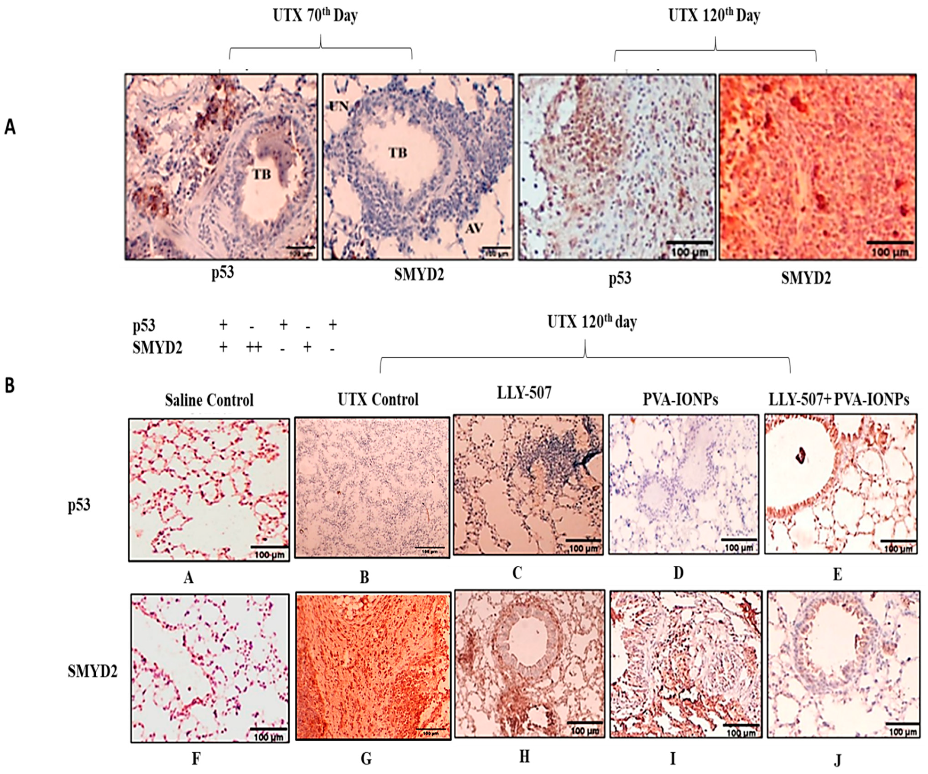 Pharmaceuticals 16 00986 g009