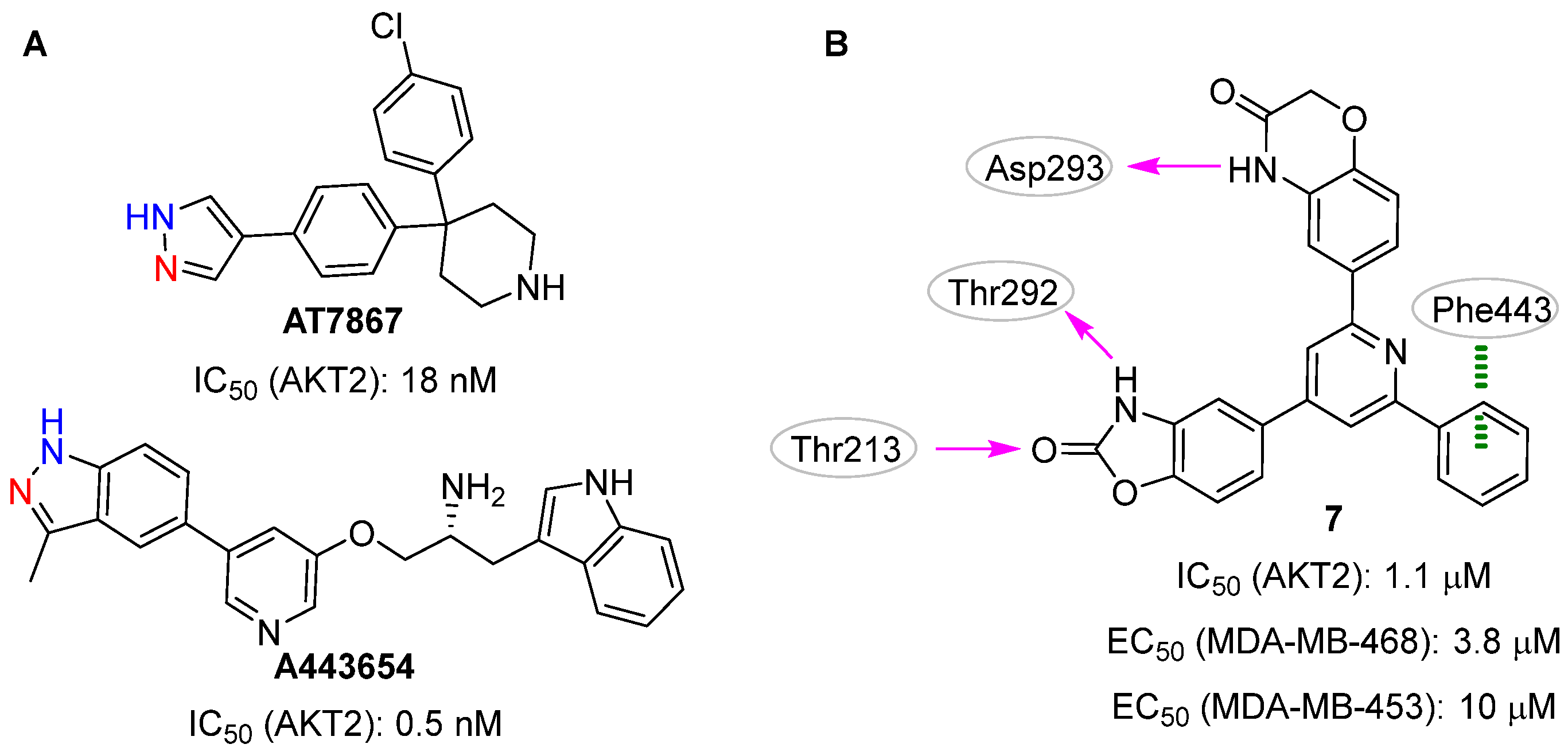 Pharmaceuticals 16 00993 g004