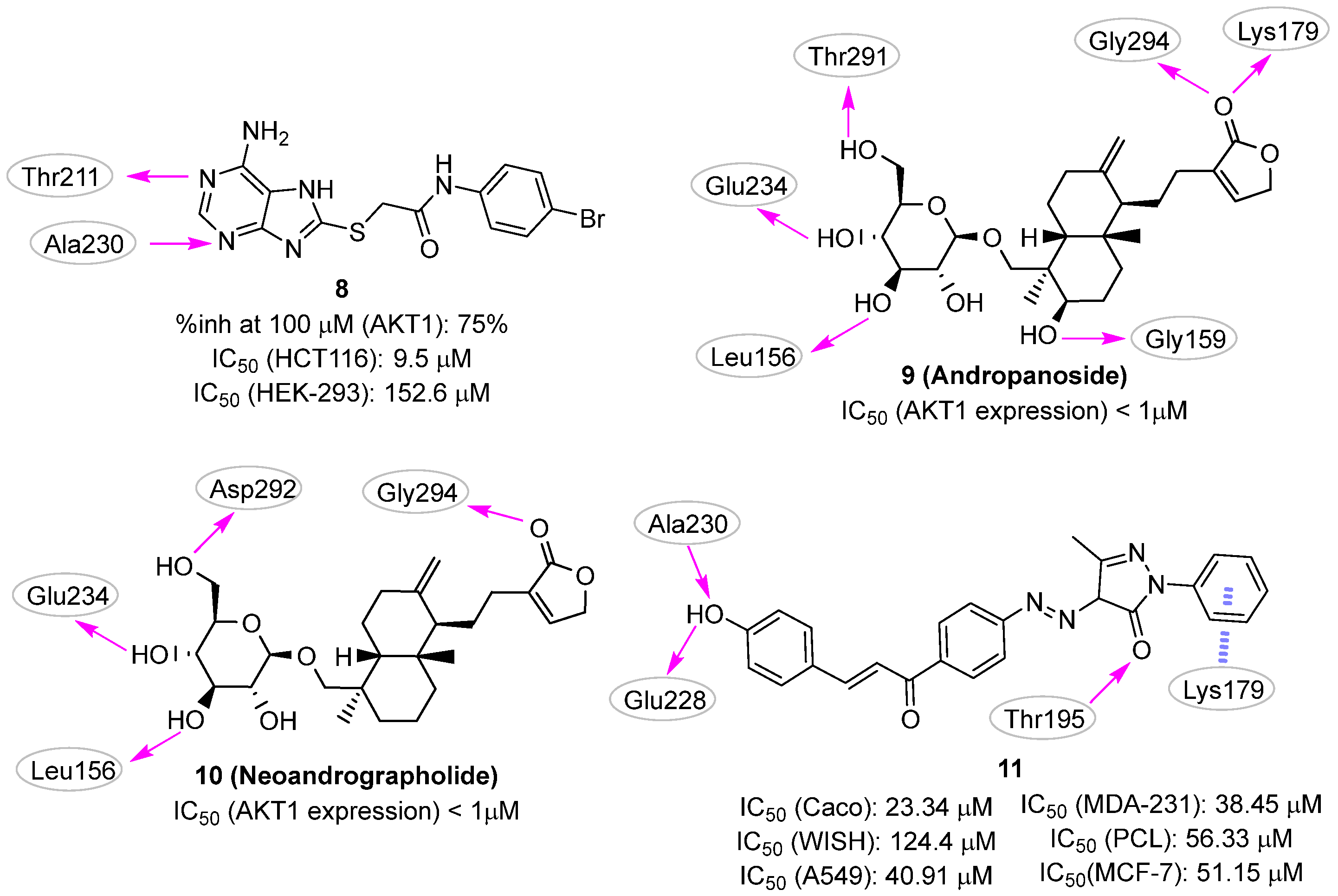 Pharmaceuticals 16 00993 g005