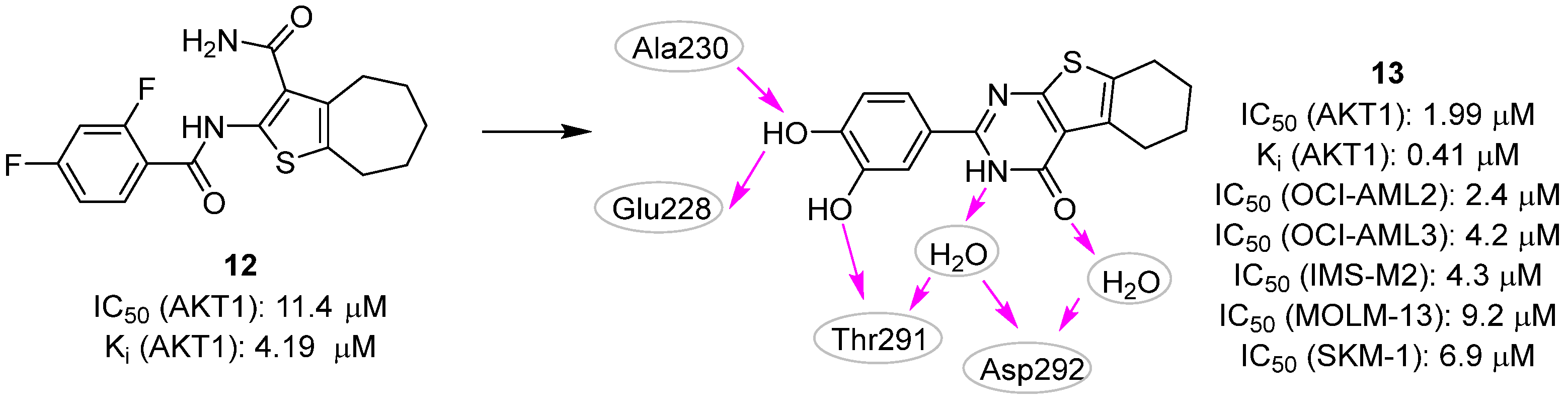 Pharmaceuticals 16 00993 g006