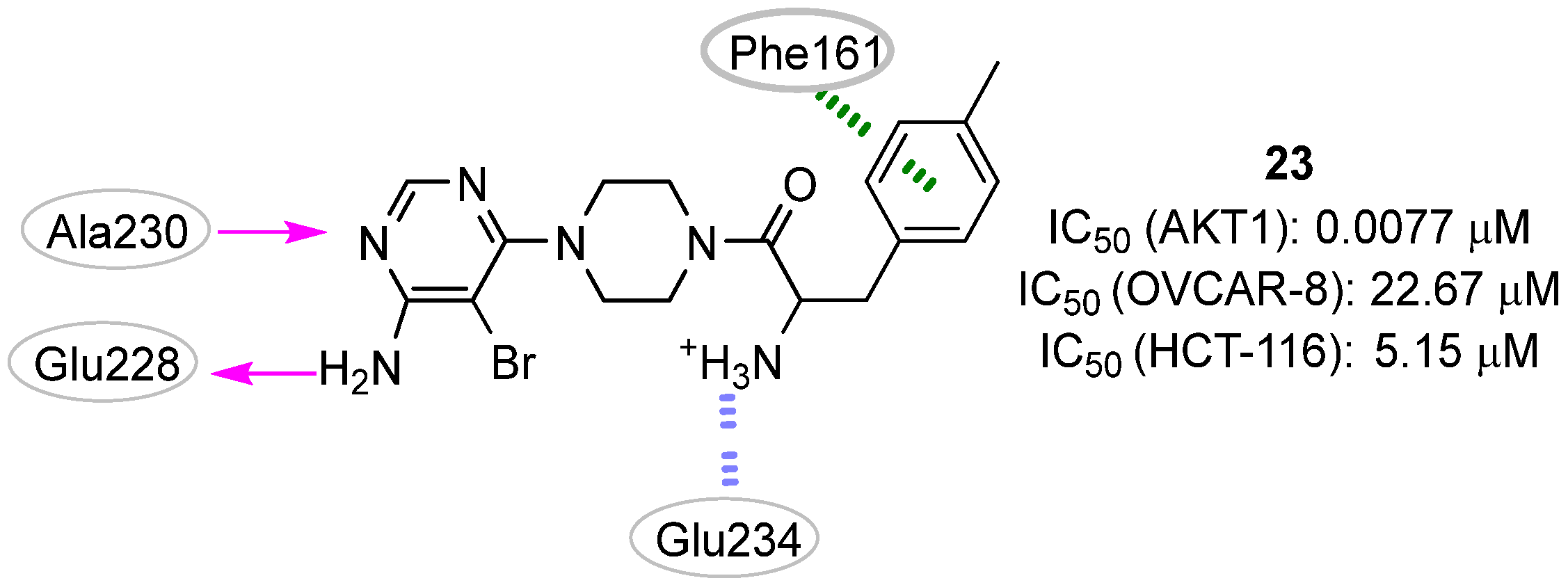 Pharmaceuticals 16 00993 g011