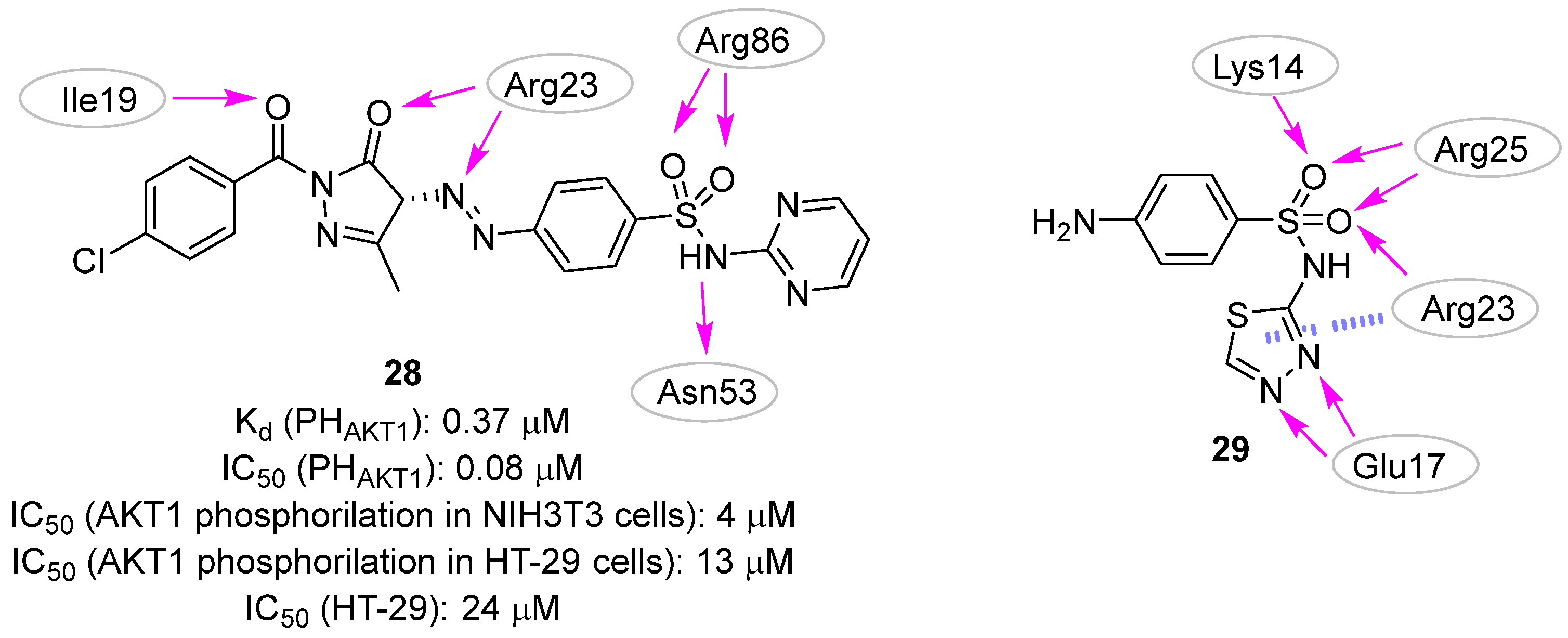 Pharmaceuticals 16 00993 g014