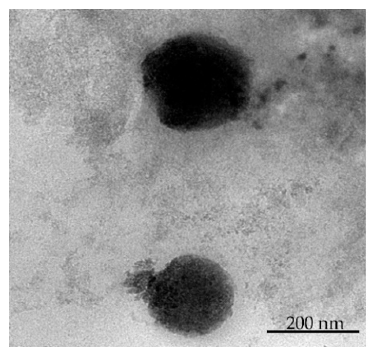 Pharmaceuticals 16 01001 g004 Pharmaceuticals 16 01001 g004